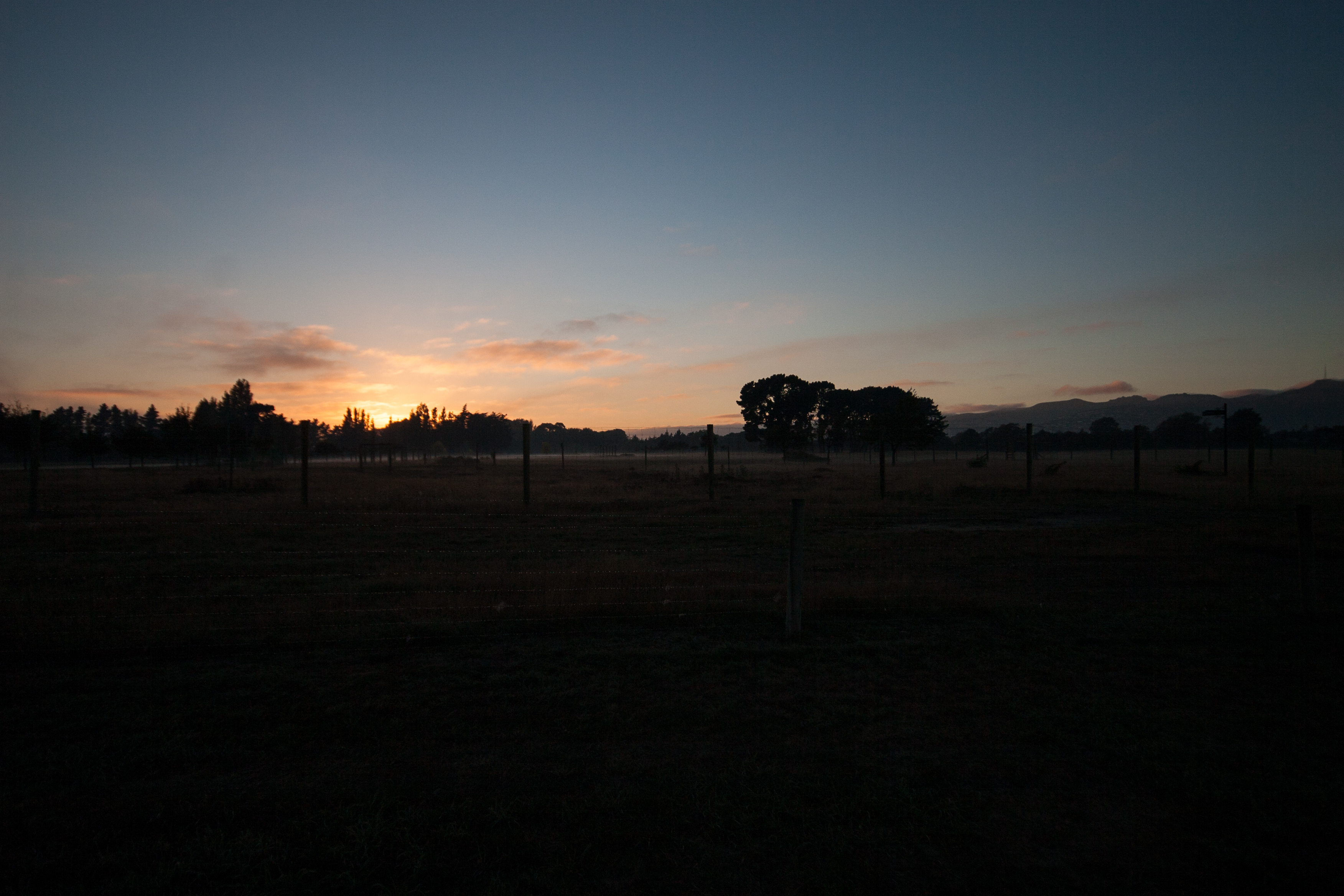 and in the morning