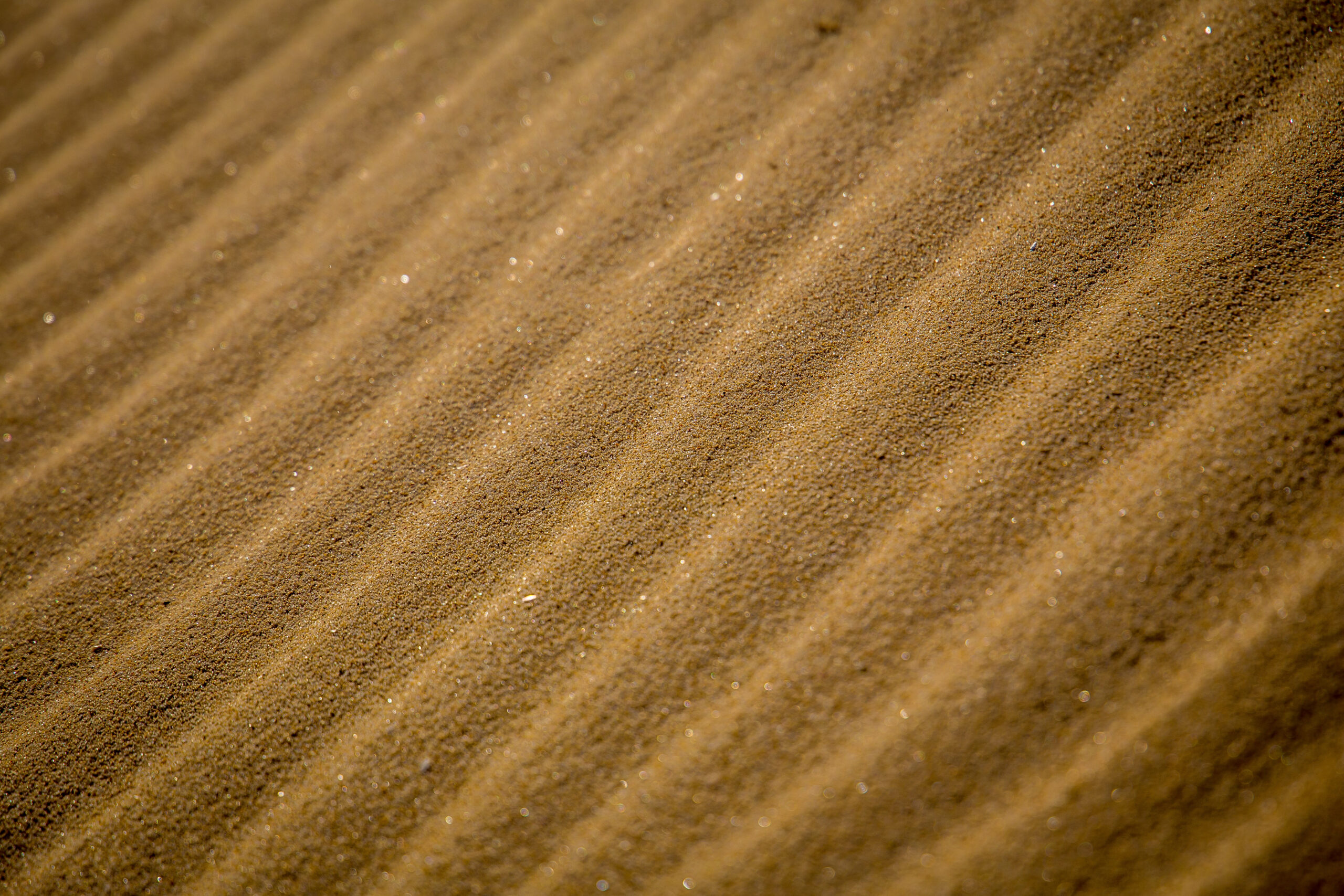 Ripples