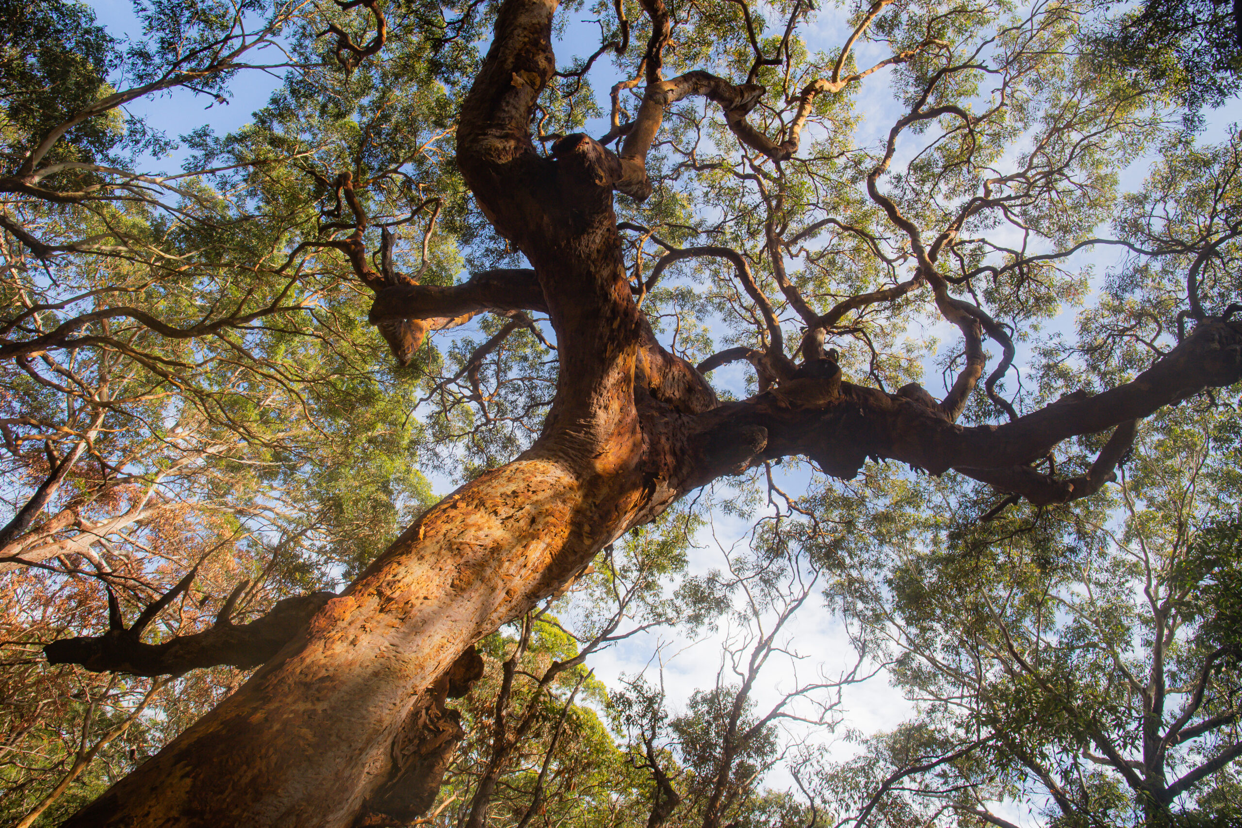 reaching up
