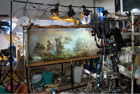 Kim Keever