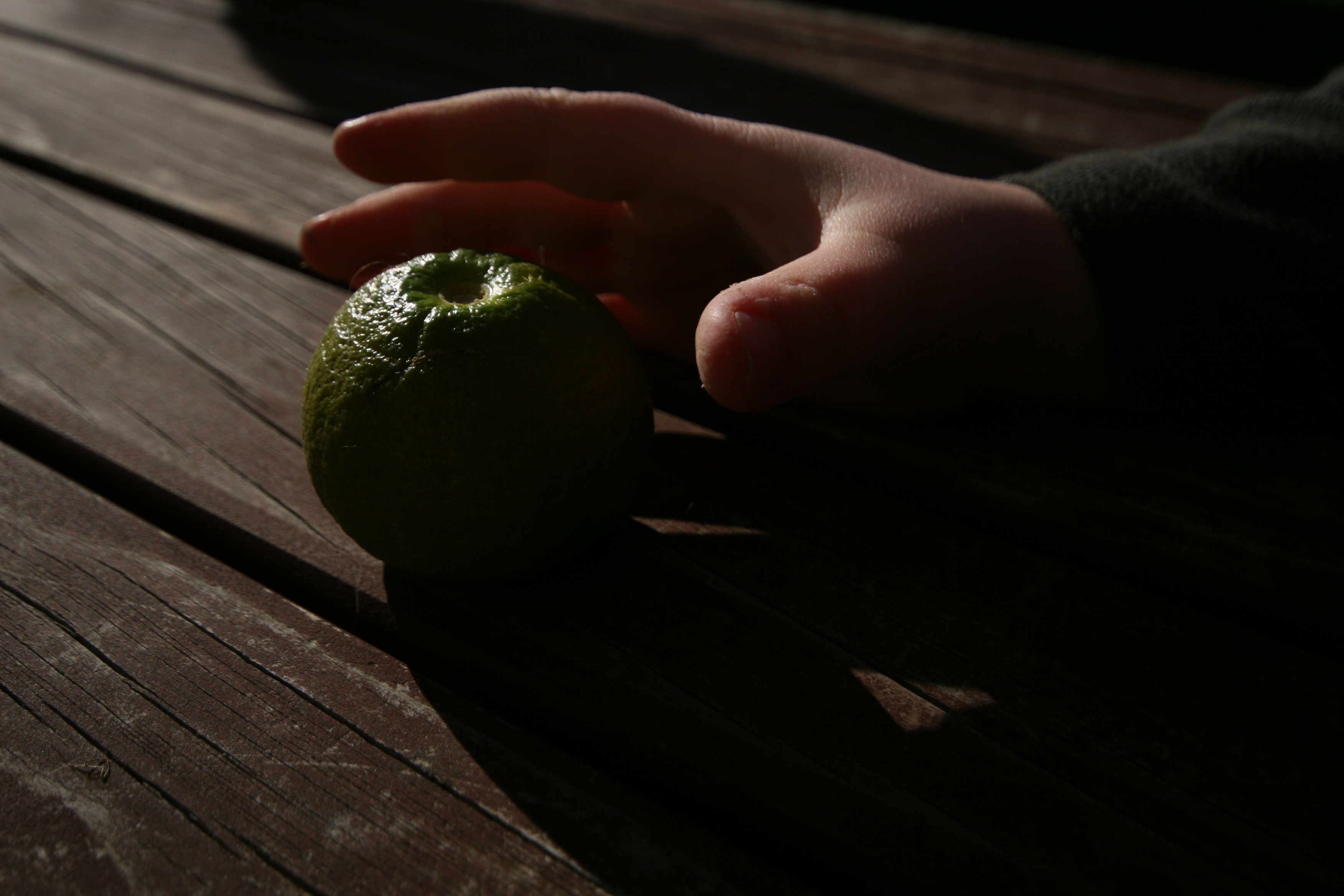 unripe fruit