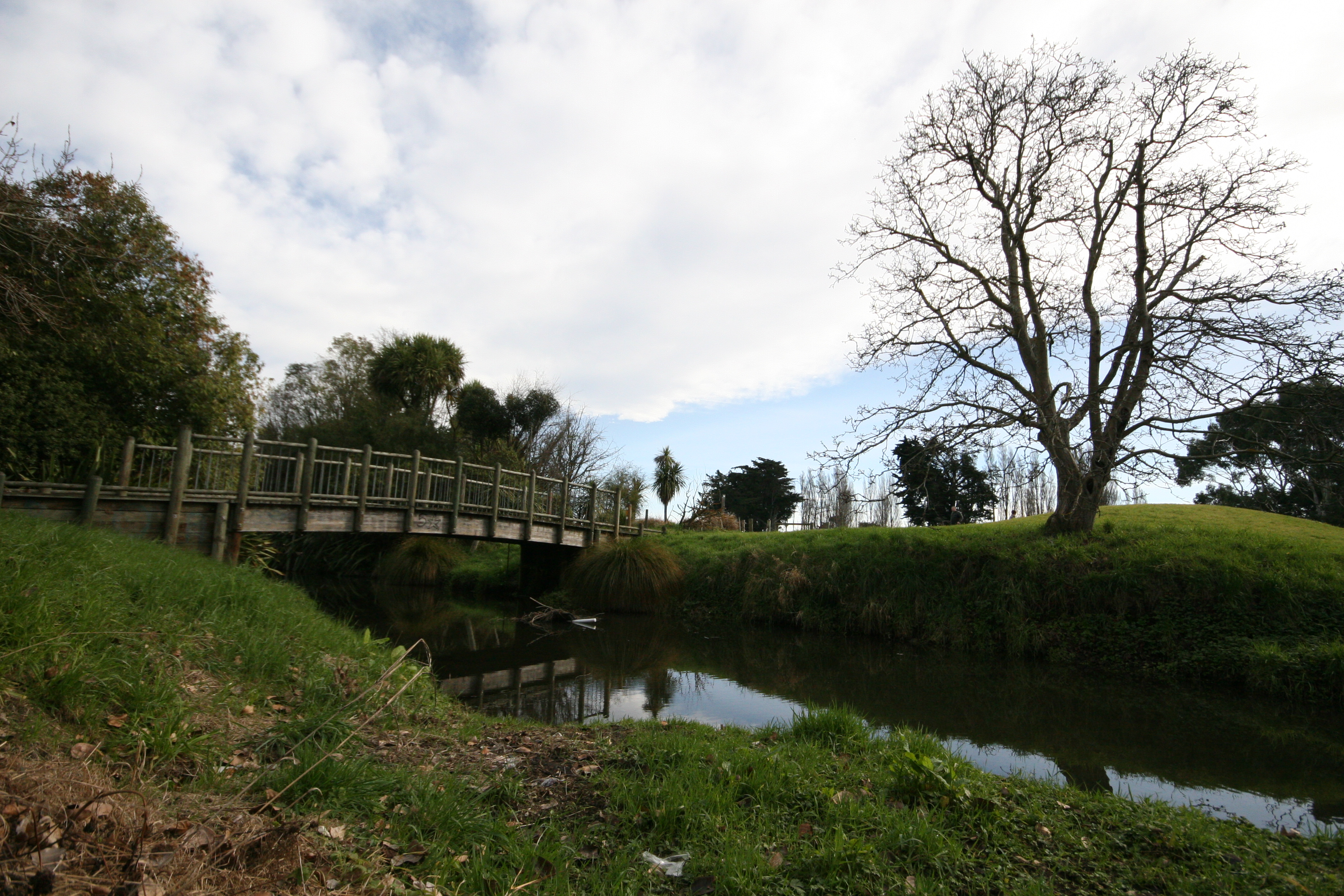 bridge