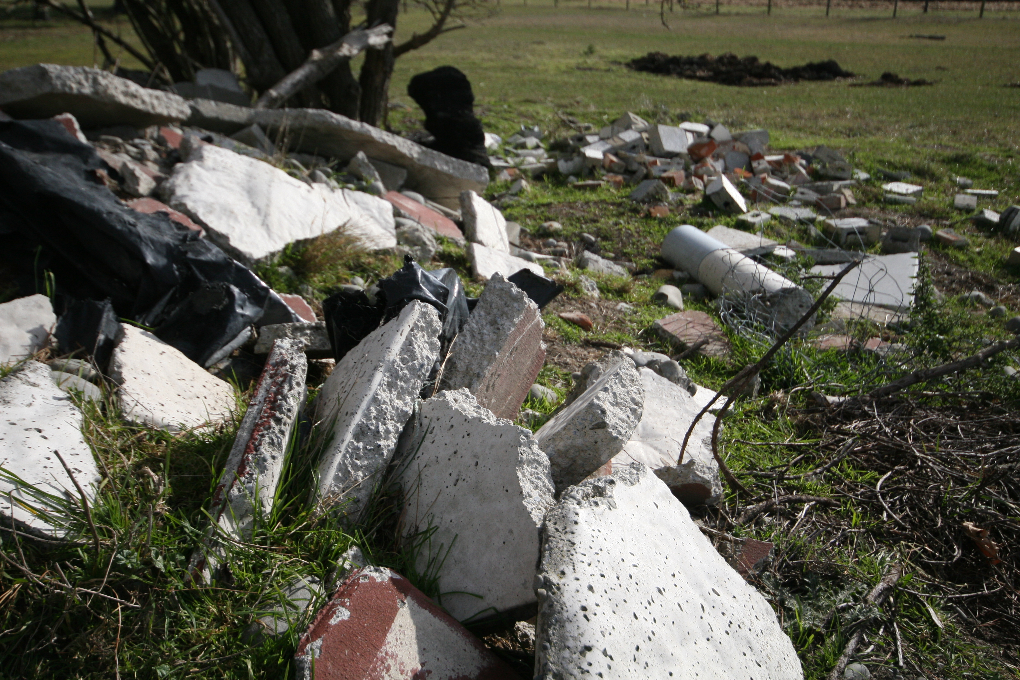 dumped in a field