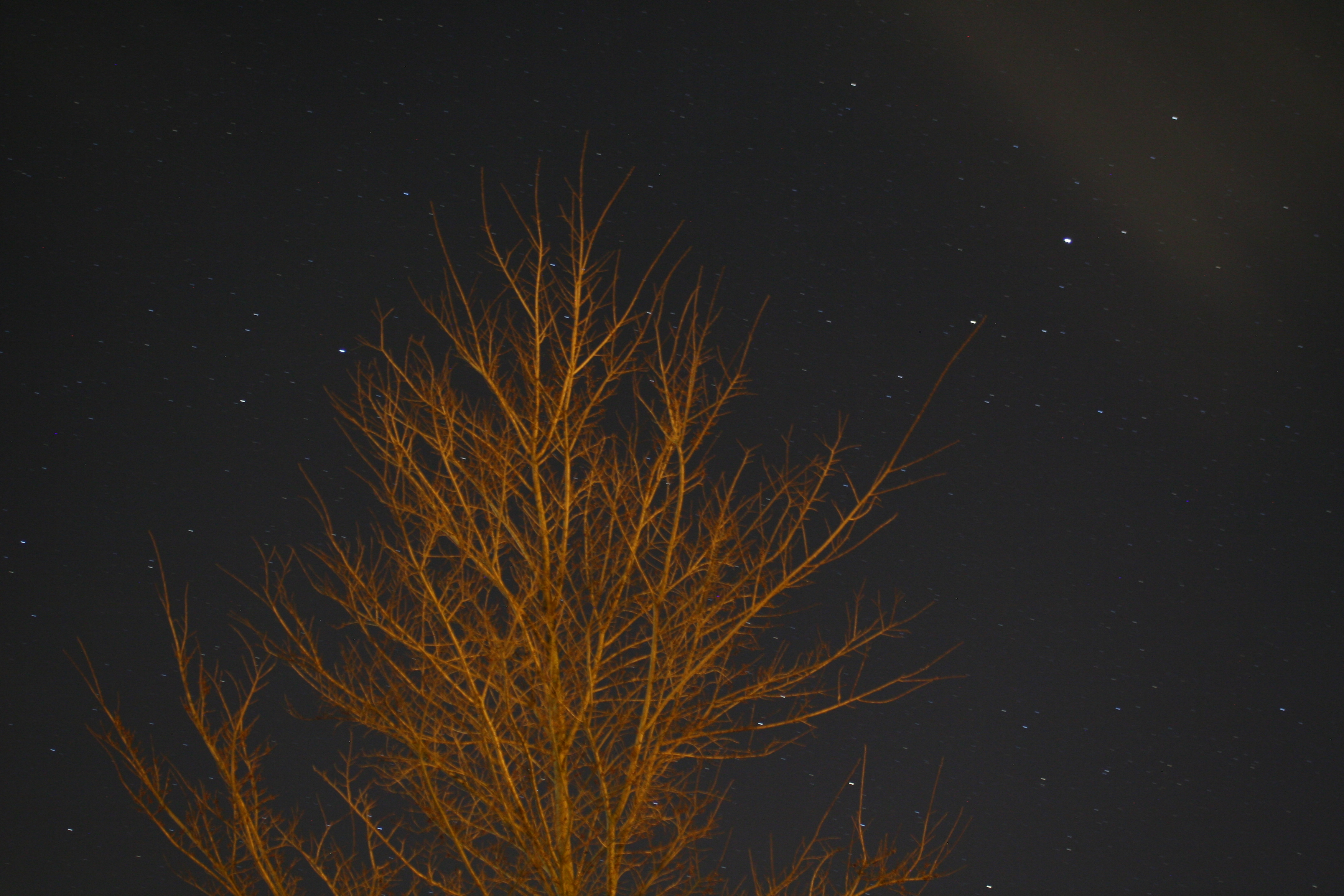 against the stars
