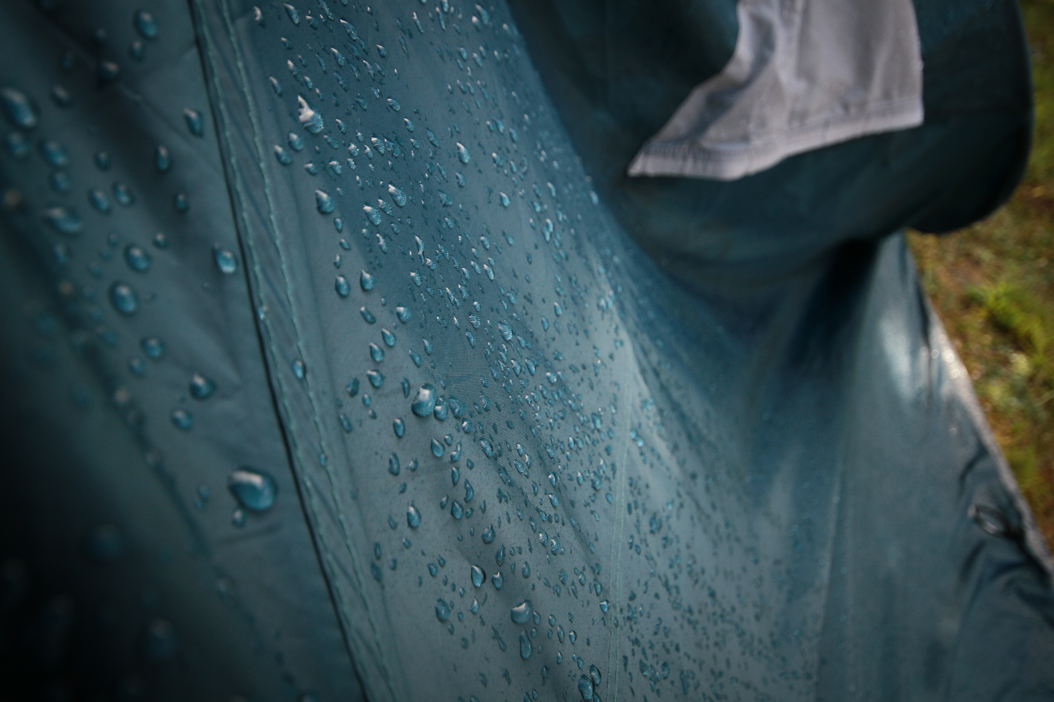 after the rain