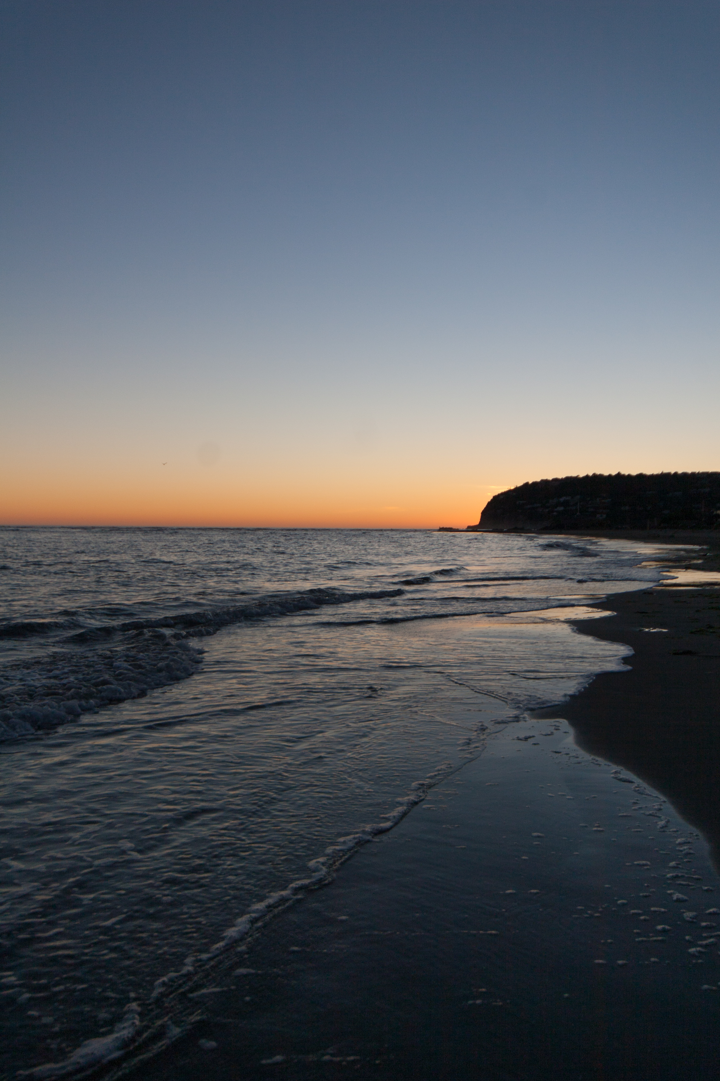 along the shore