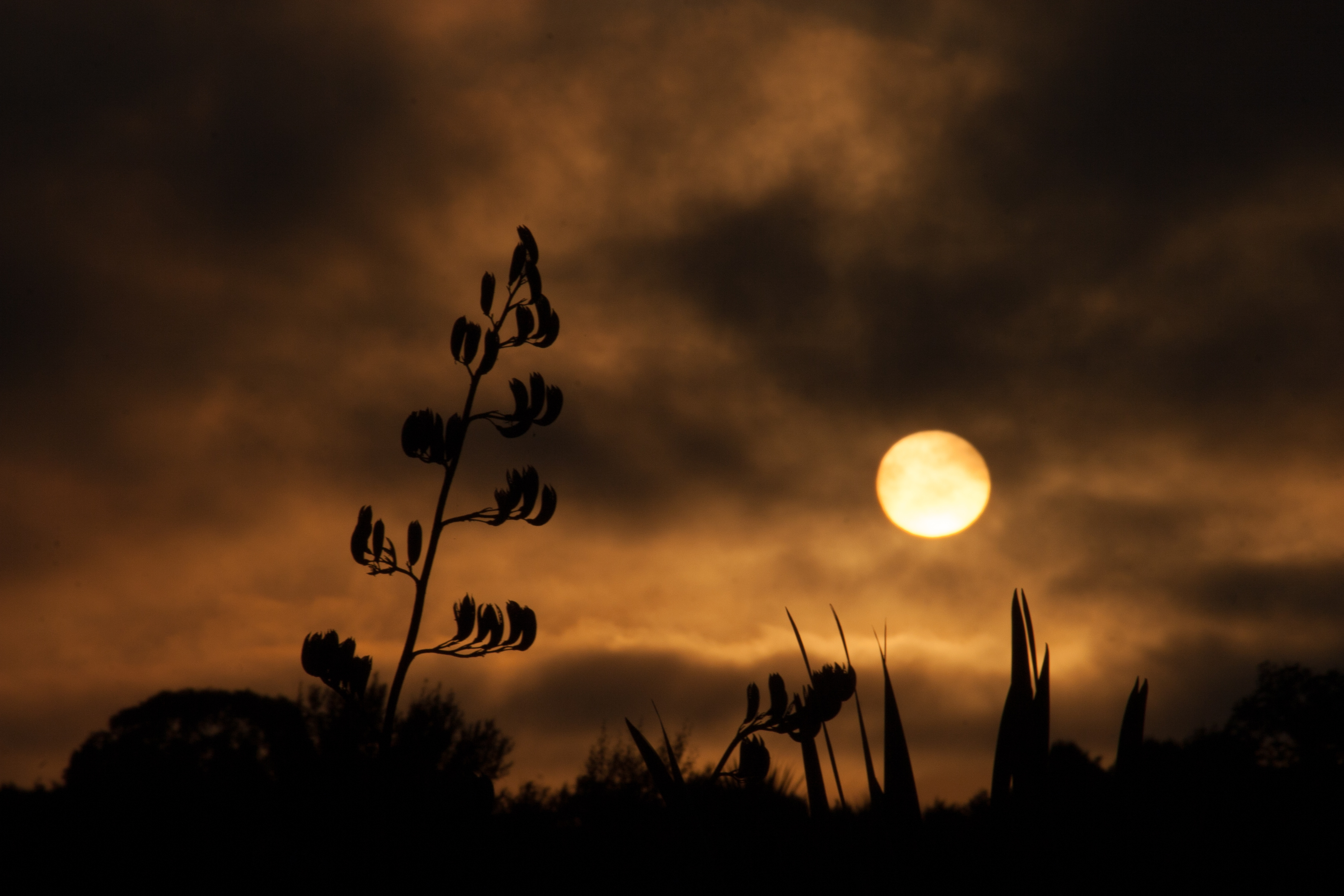 awakening