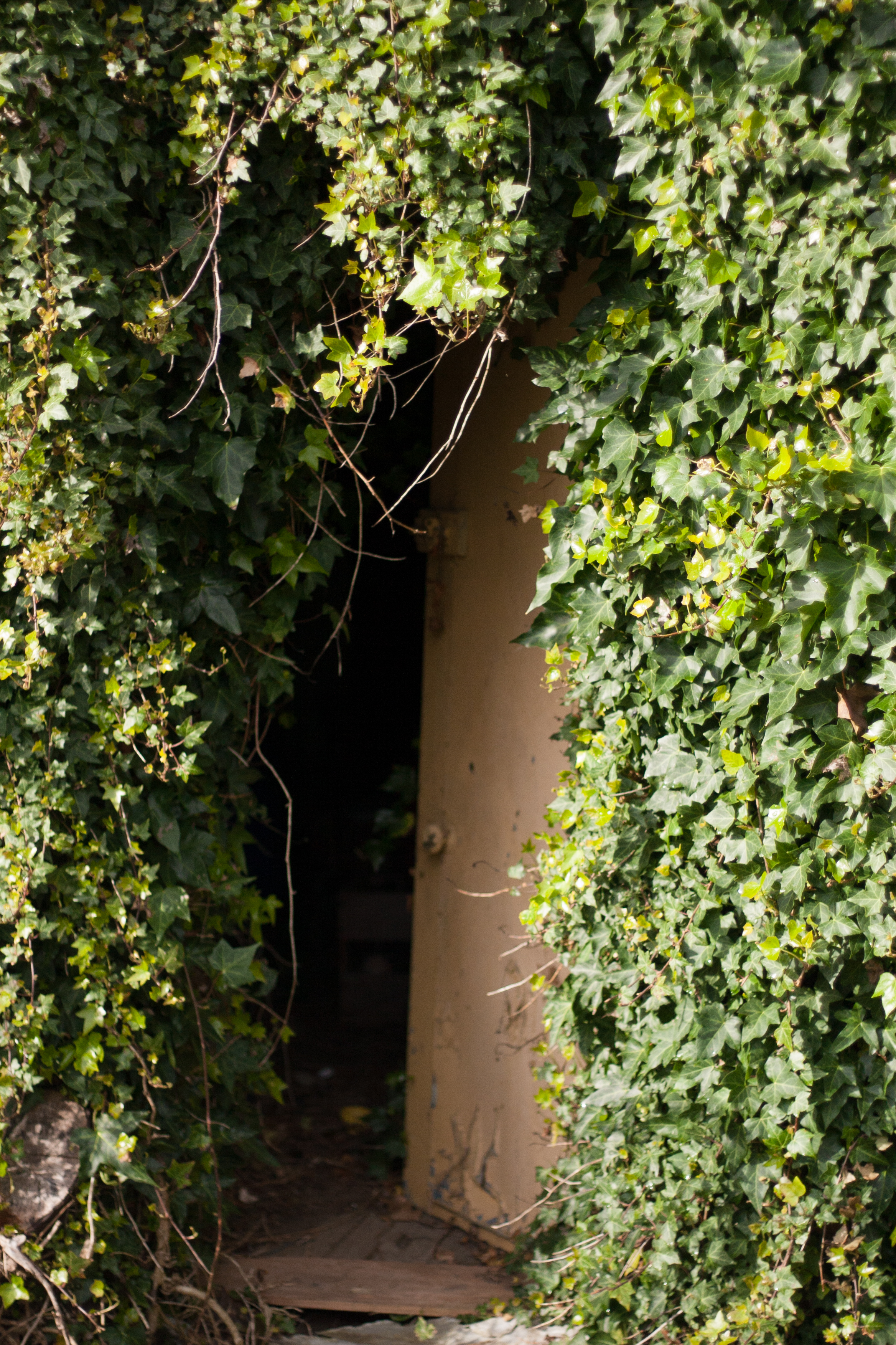 behind the door