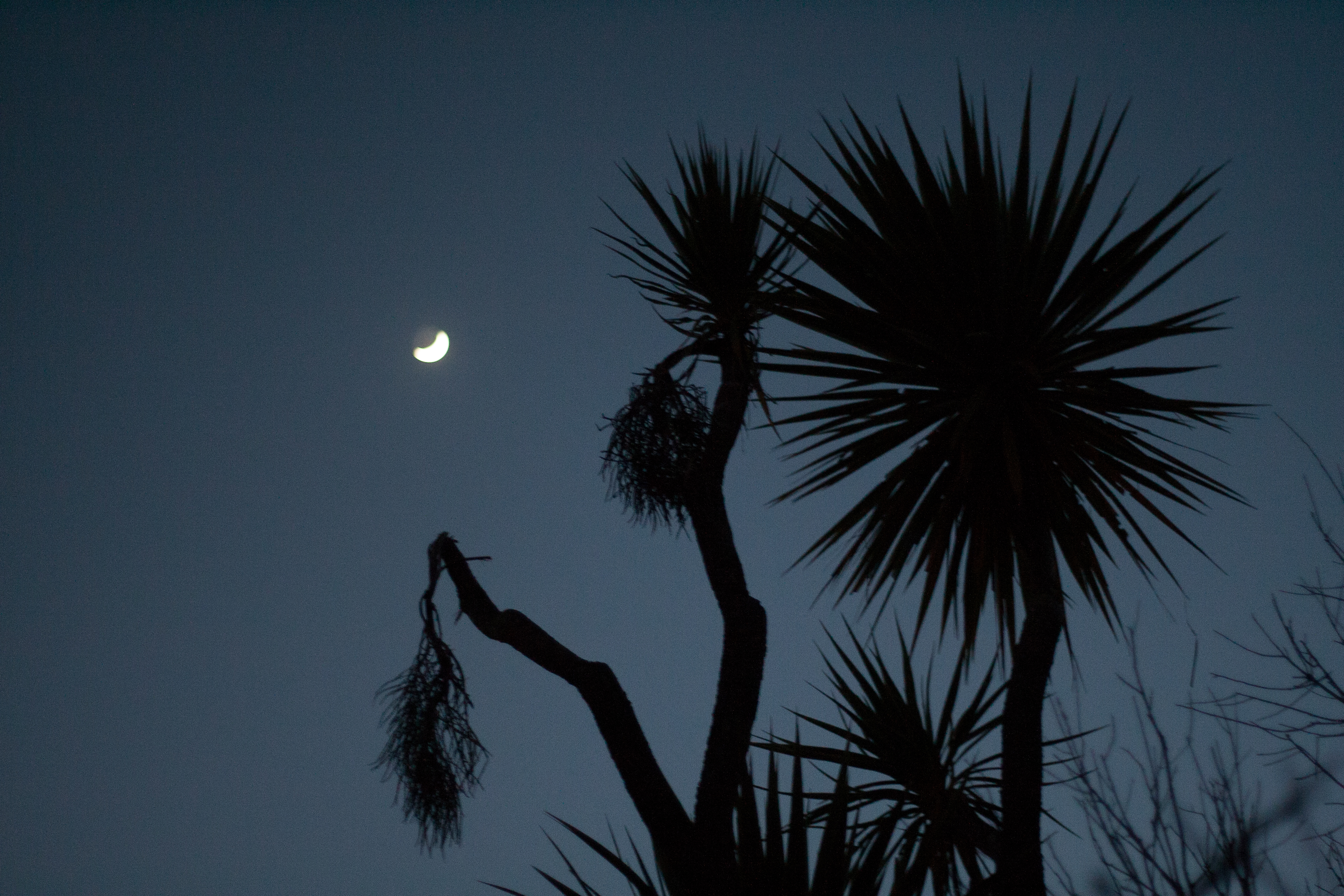 black as night
