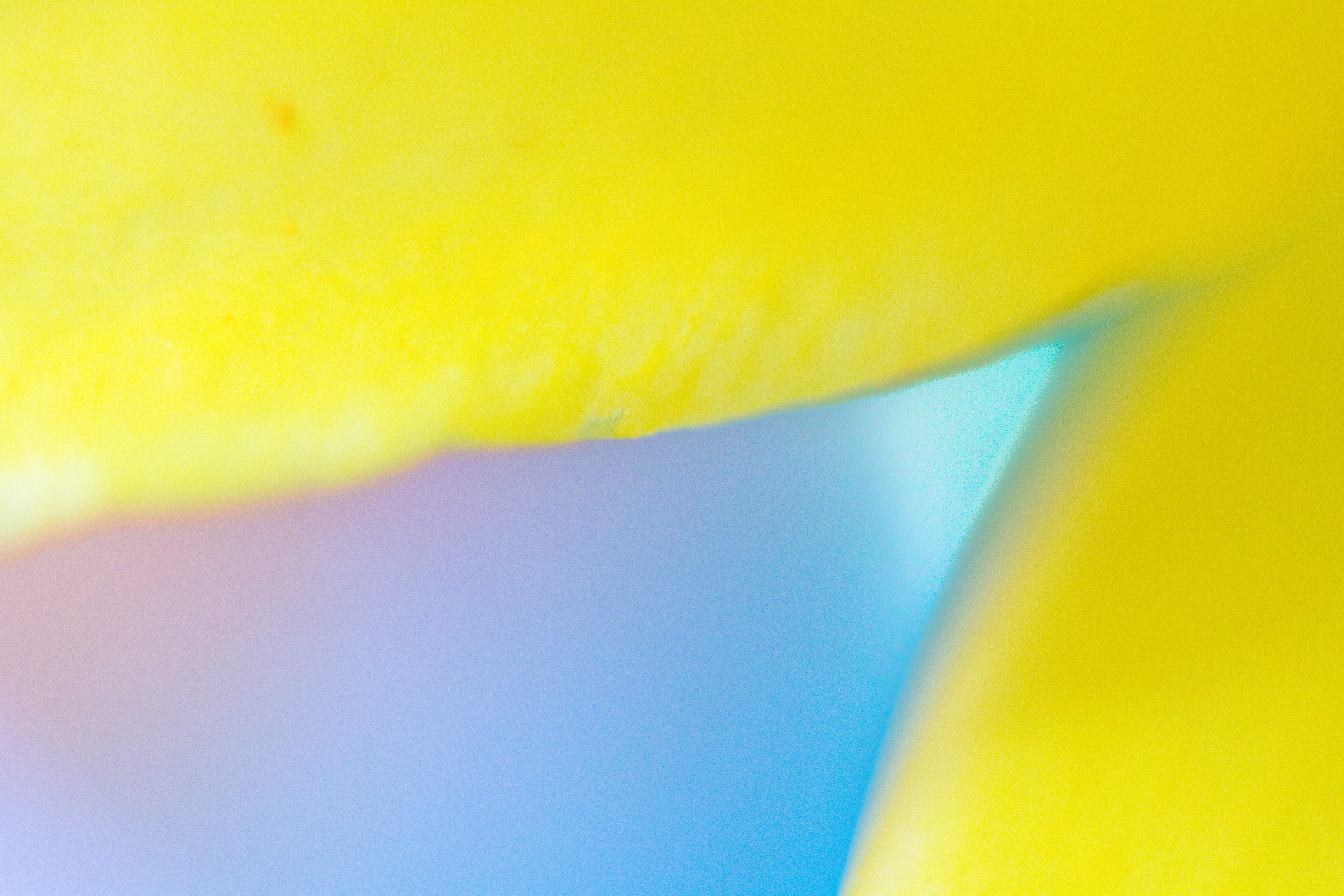 blue & yellow