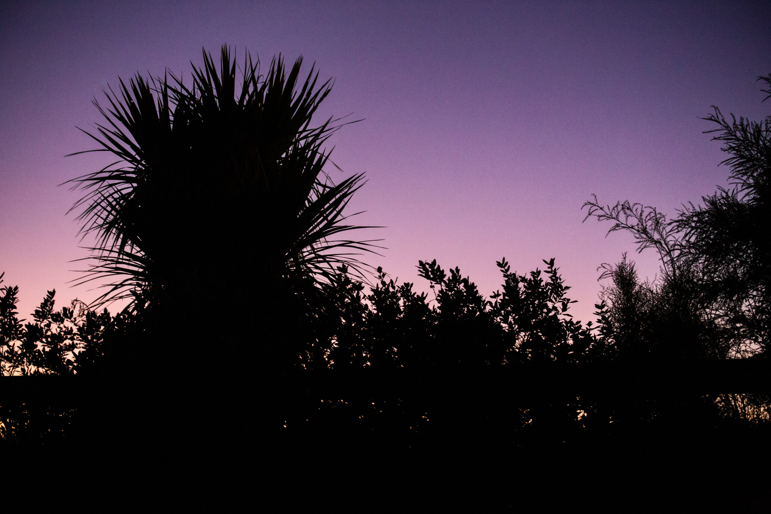 purple glow