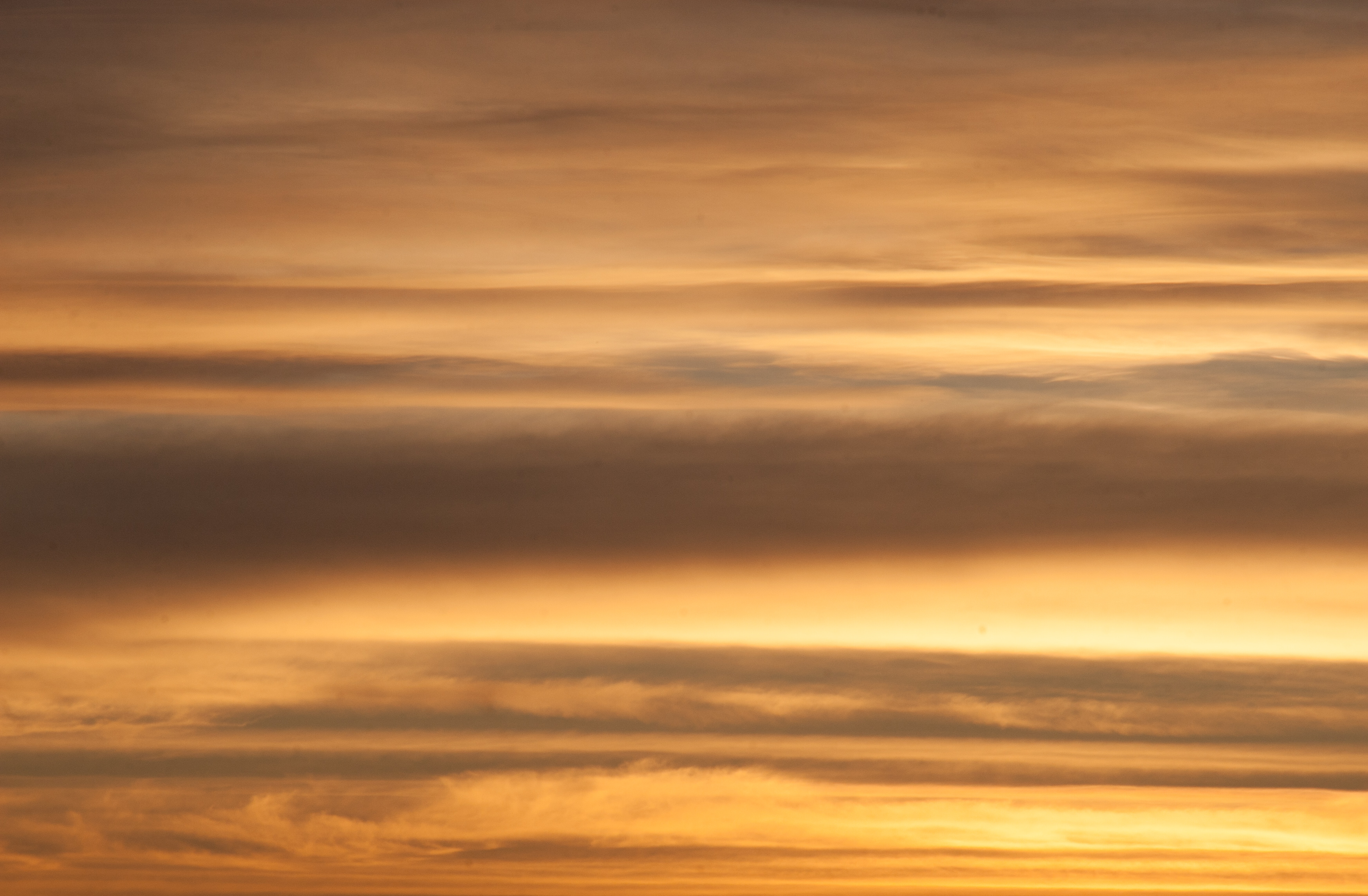 brush strokes