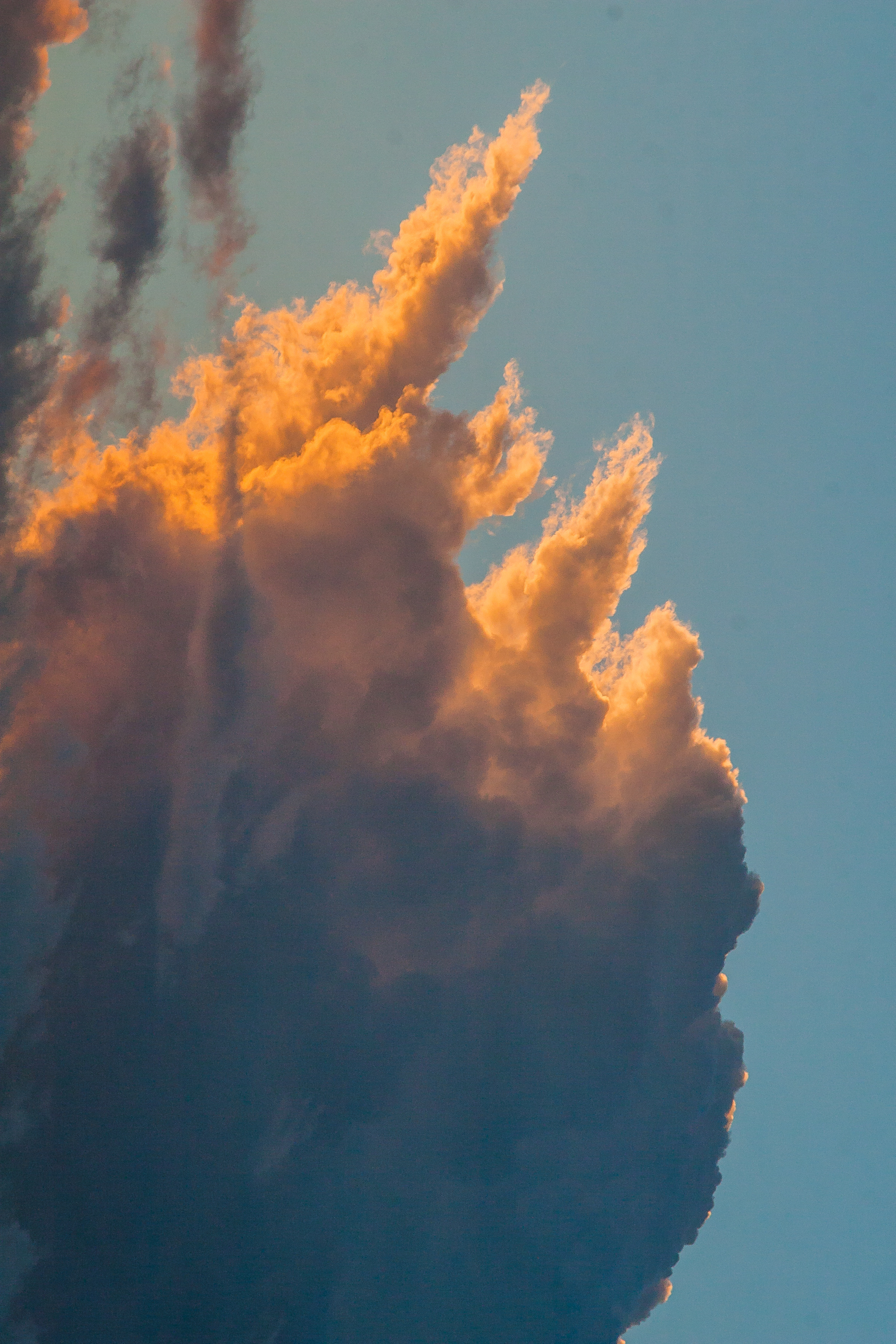 burning bright