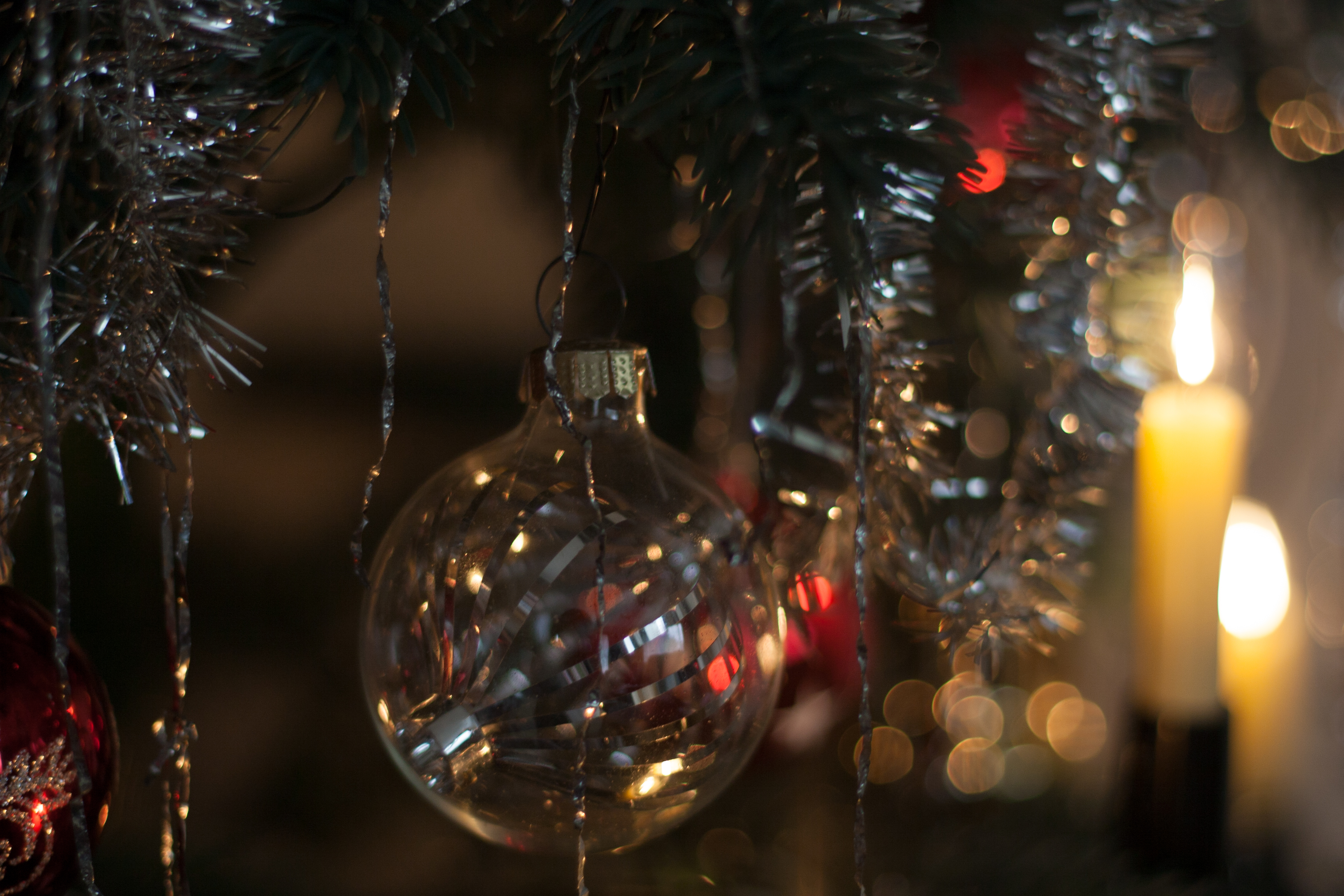 christmas by night