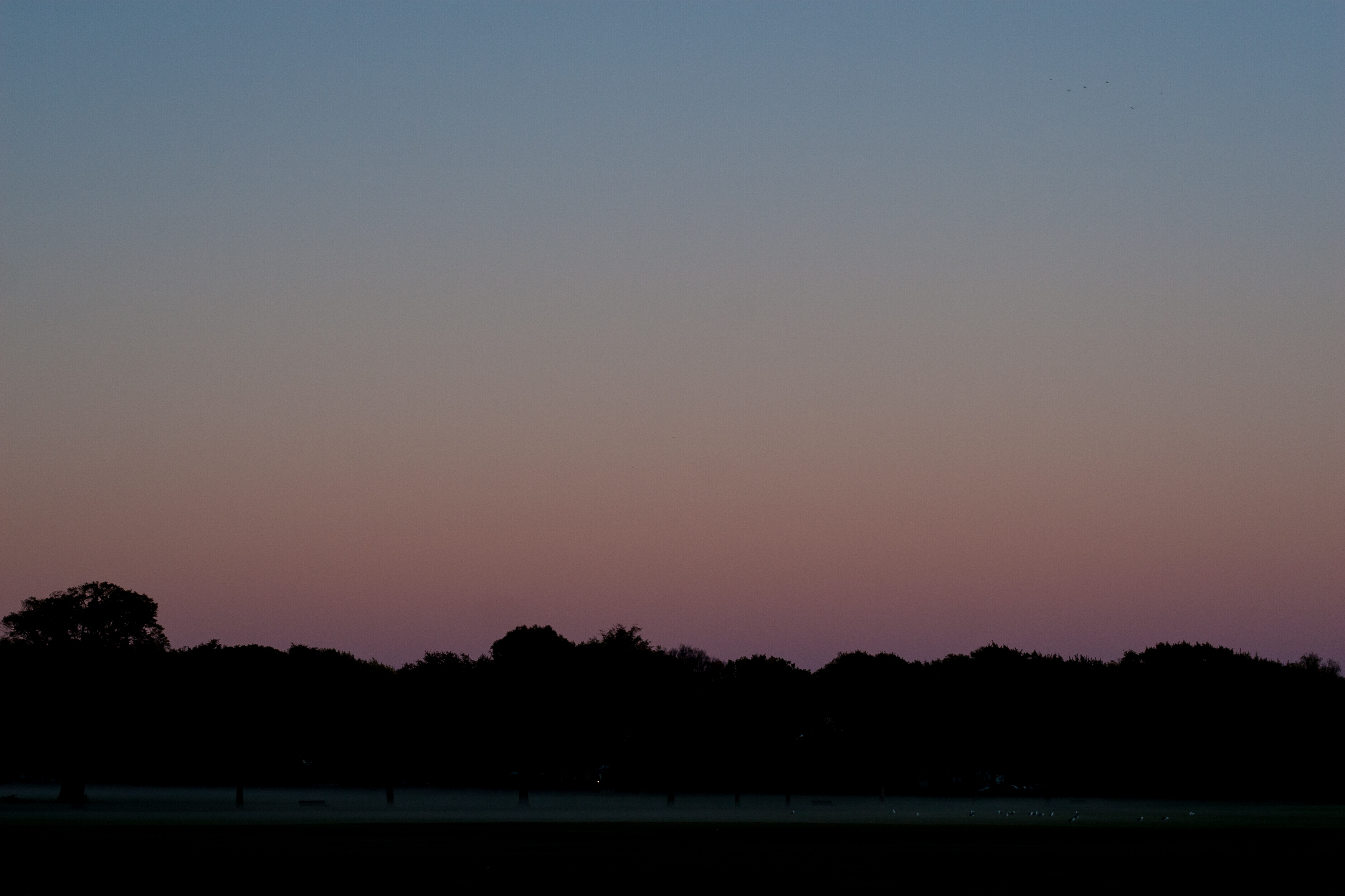 colours of the night