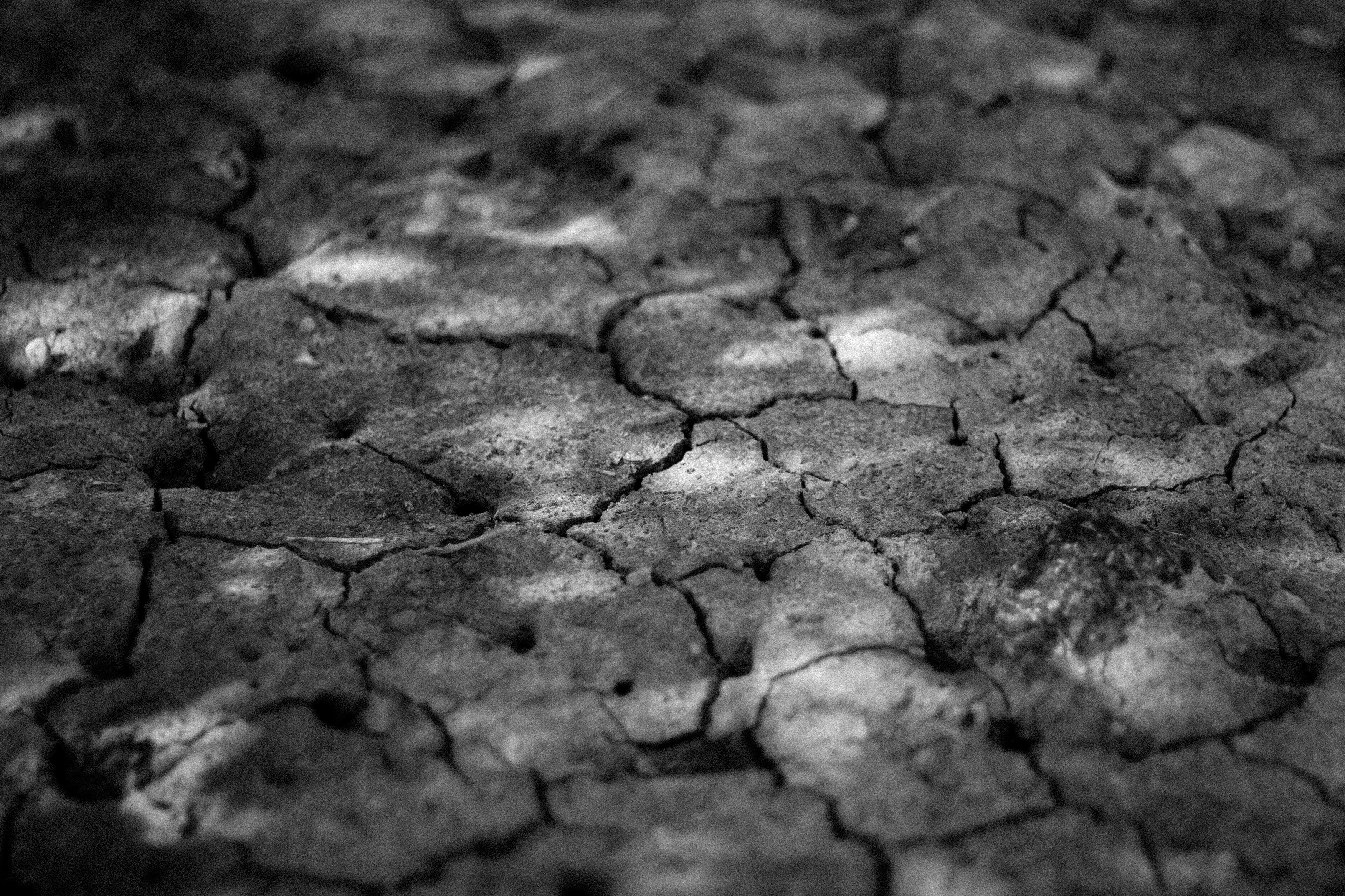 cracked earth