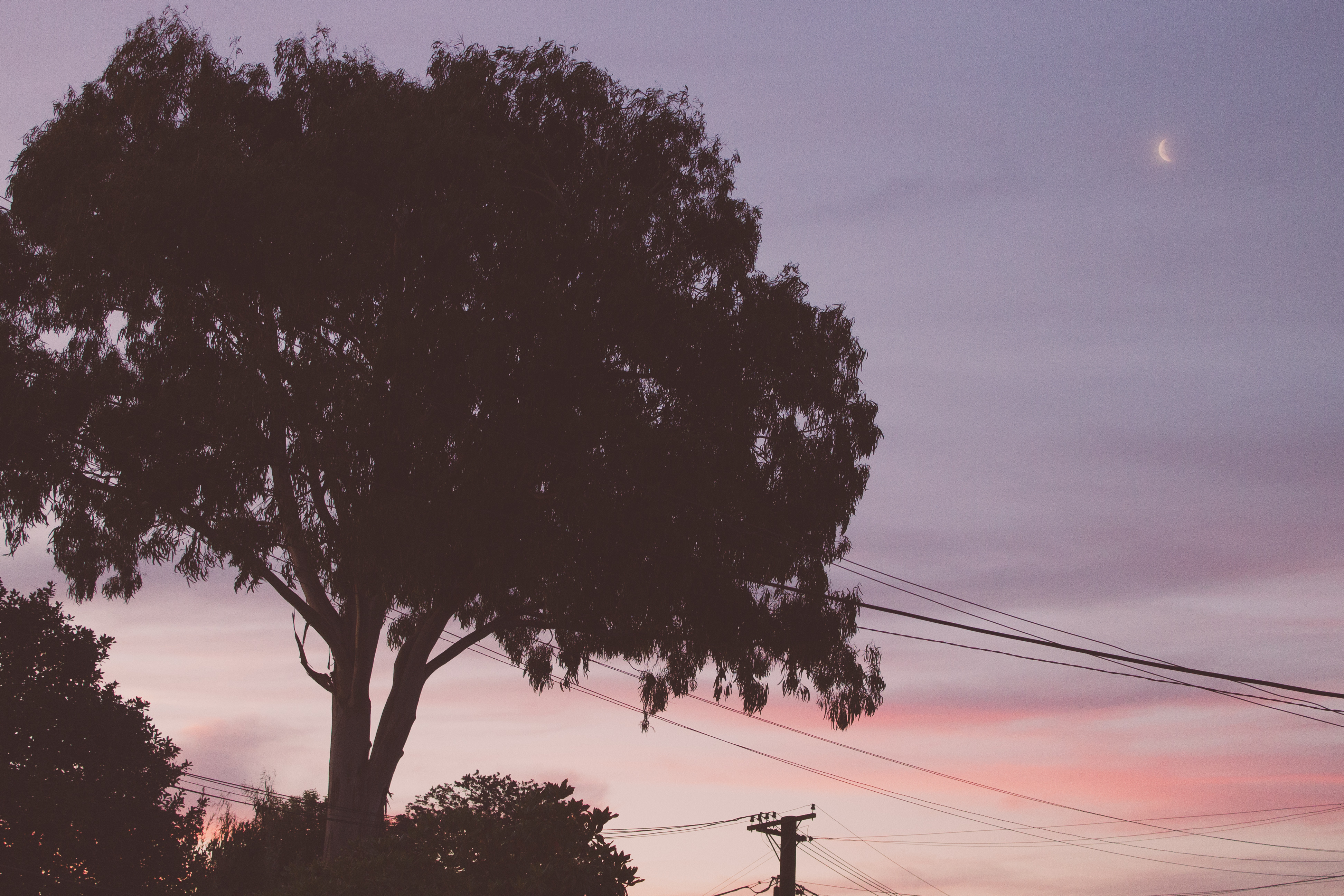 crimson skies