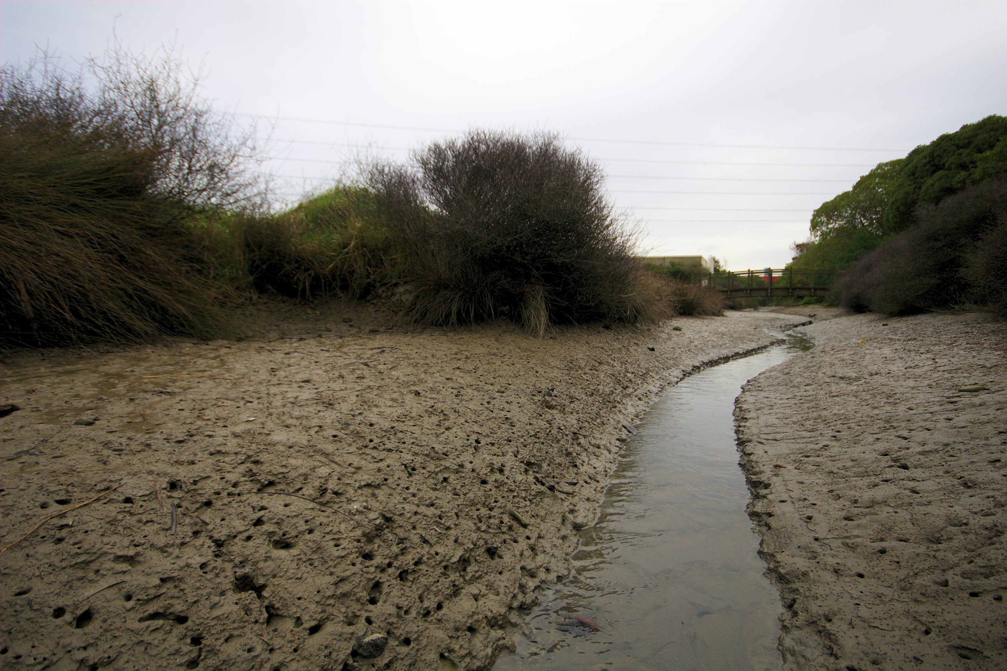 winding stream