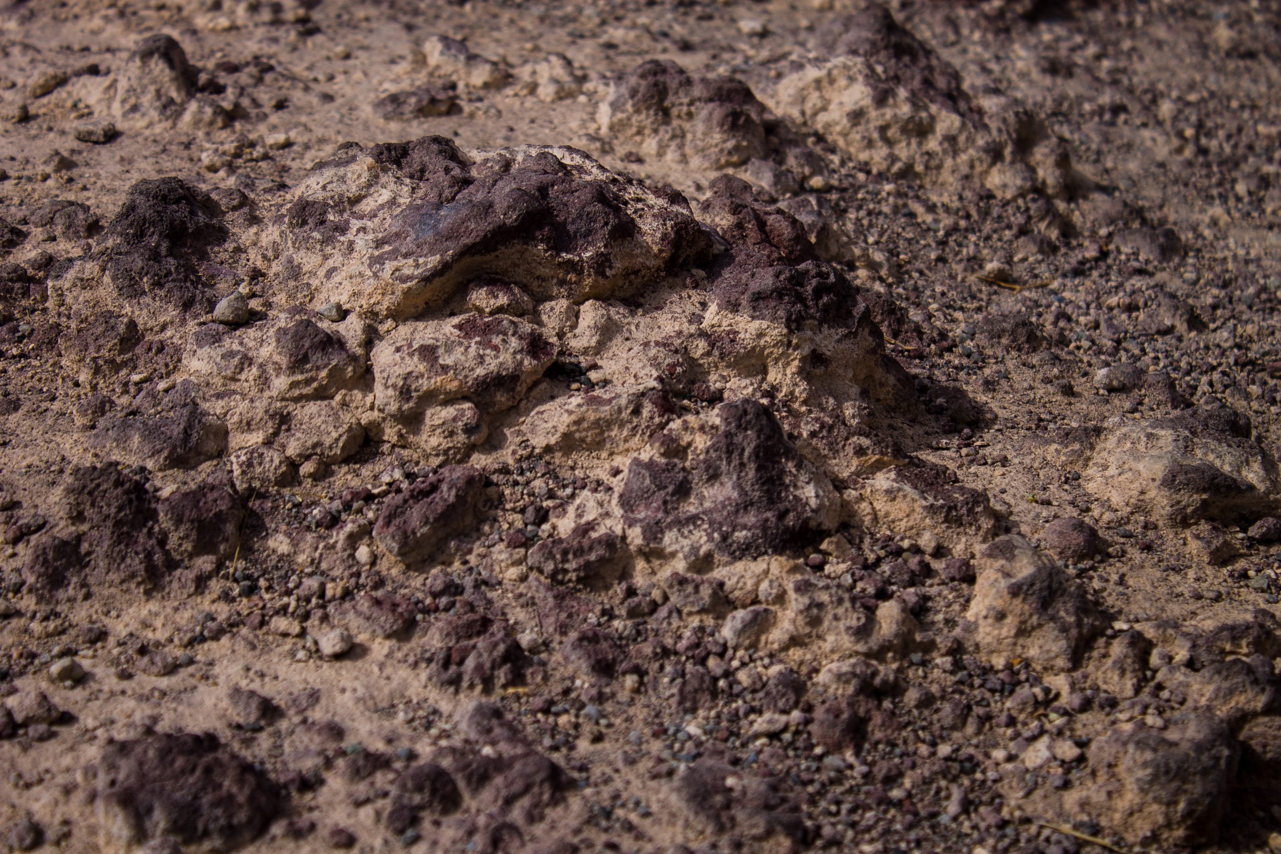 dried earth