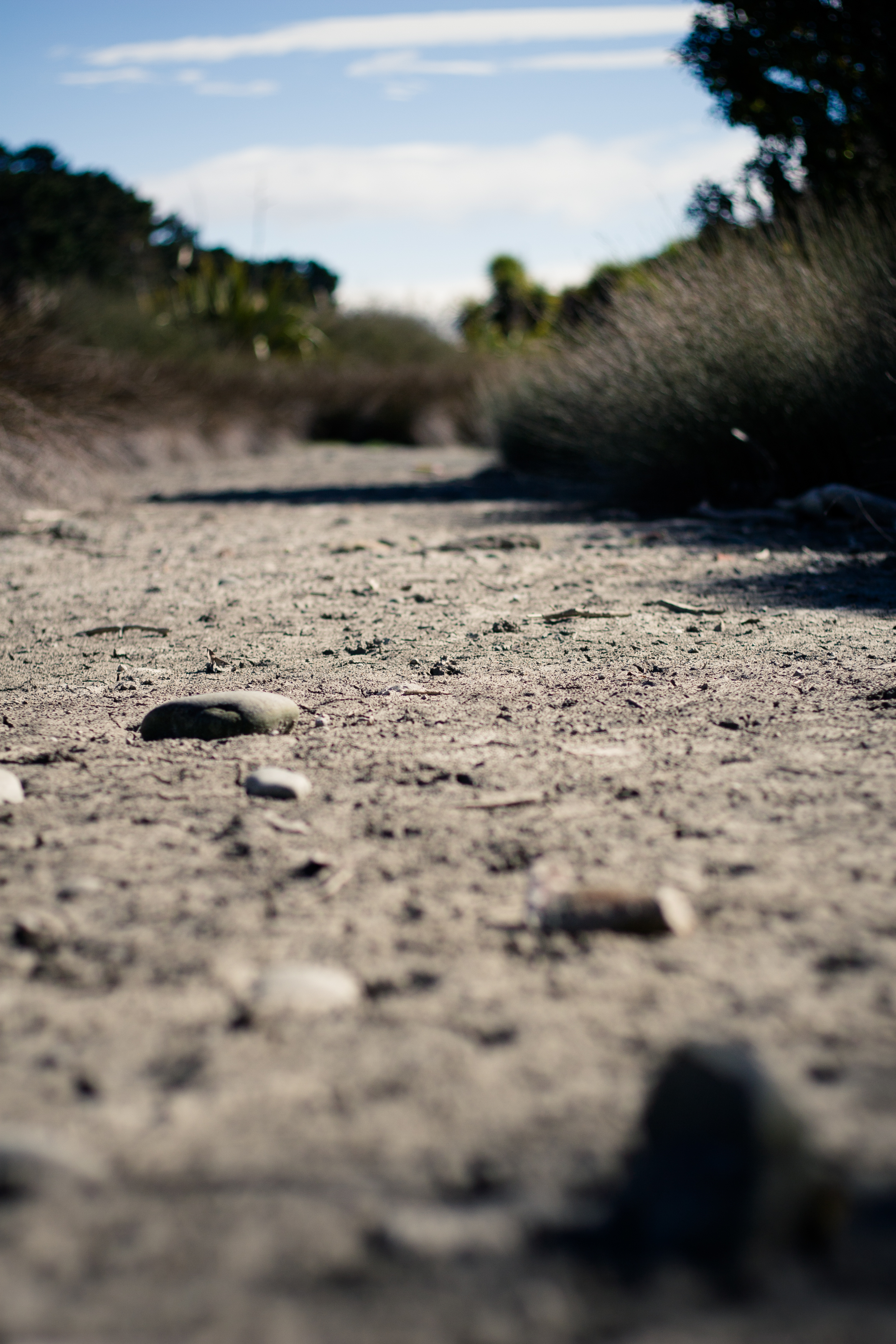 dry bed