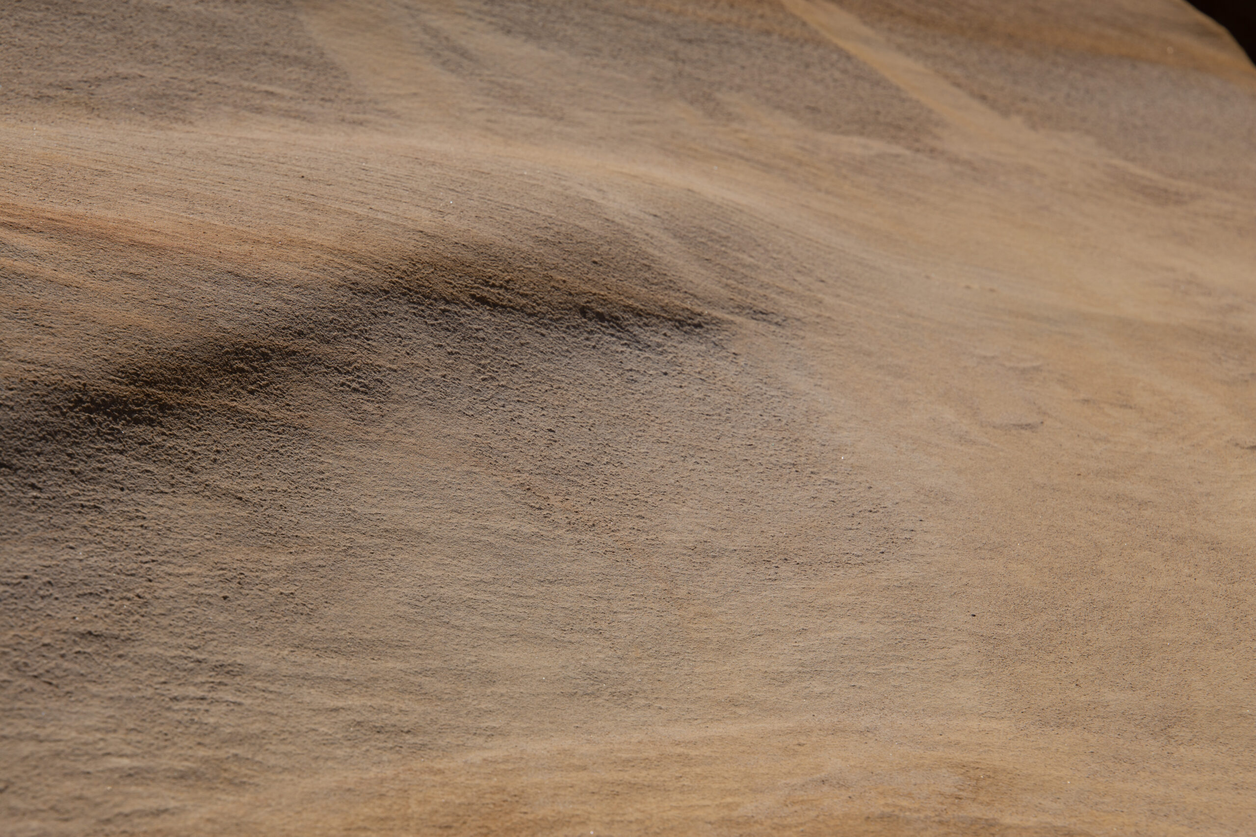 dunes