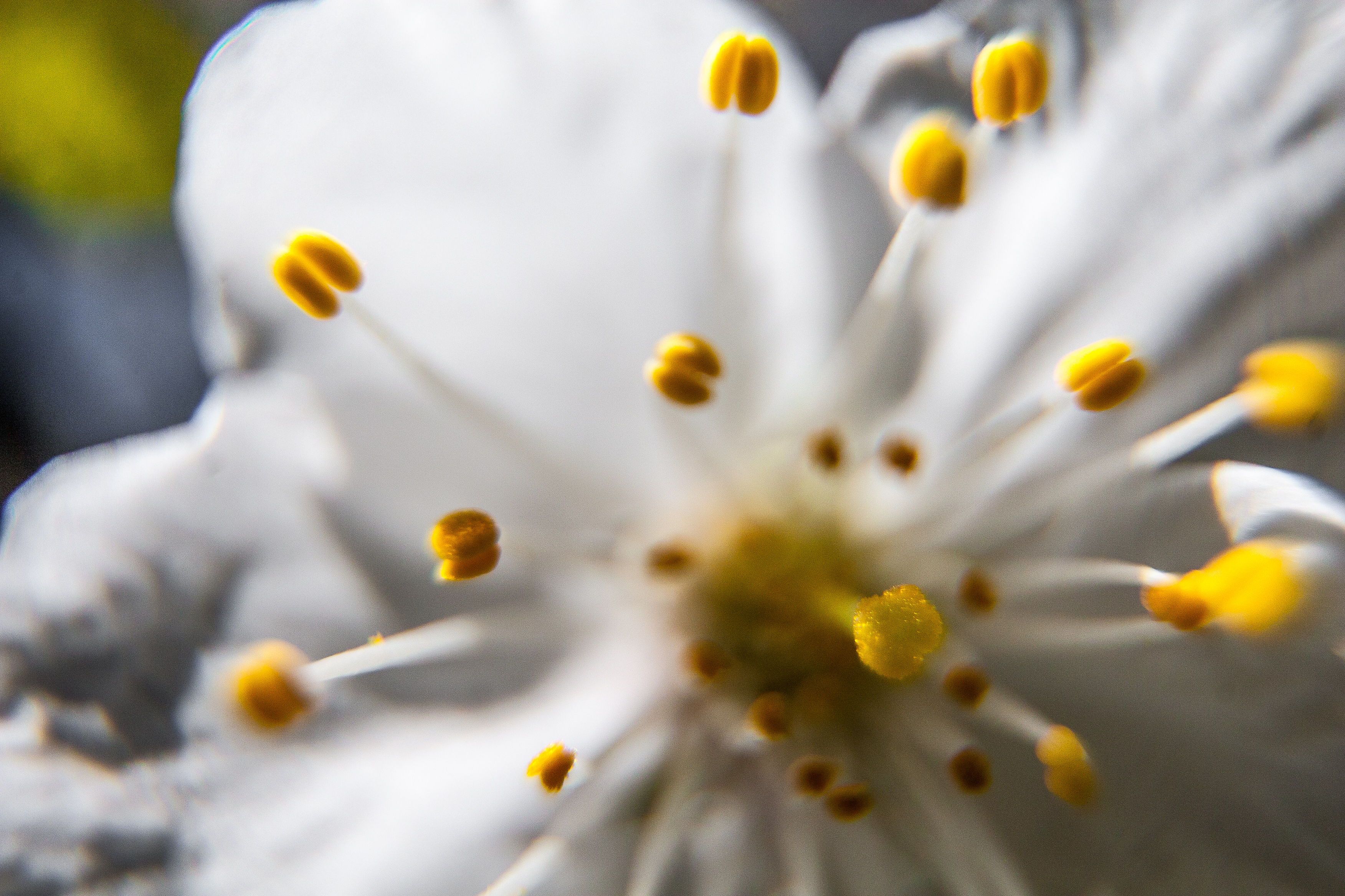 exploding