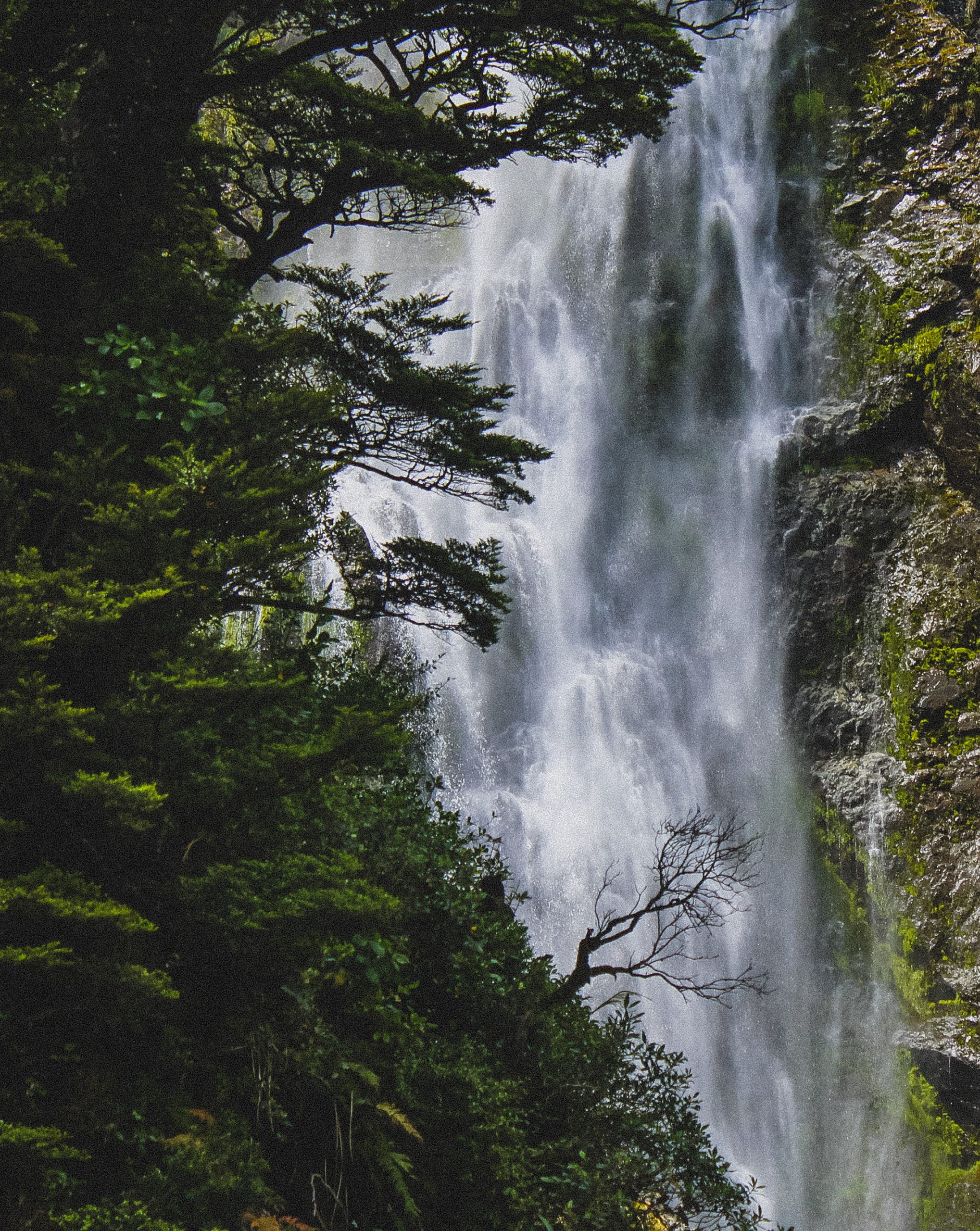 falls