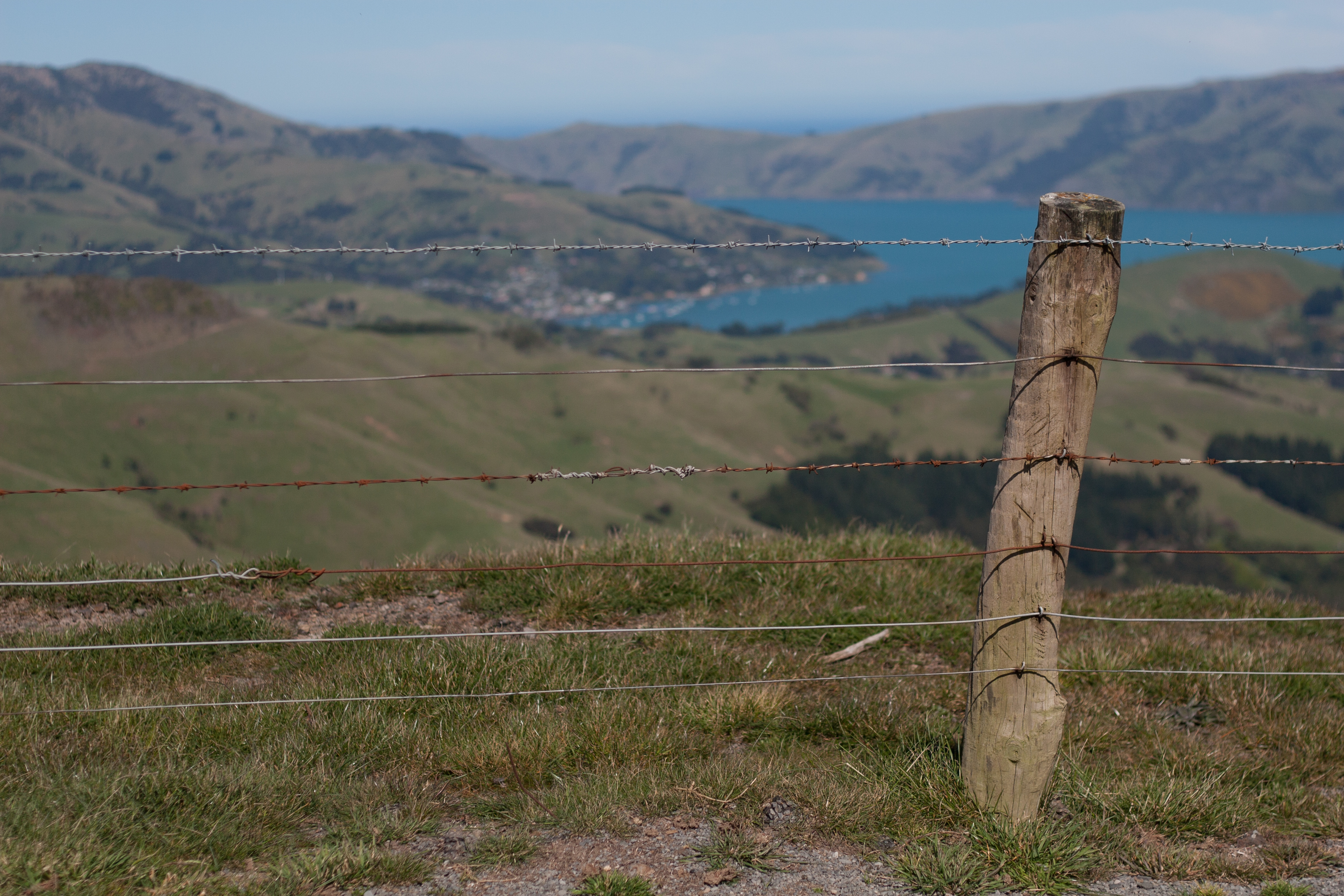 fenced in