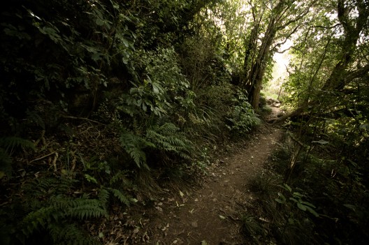 Follow the path