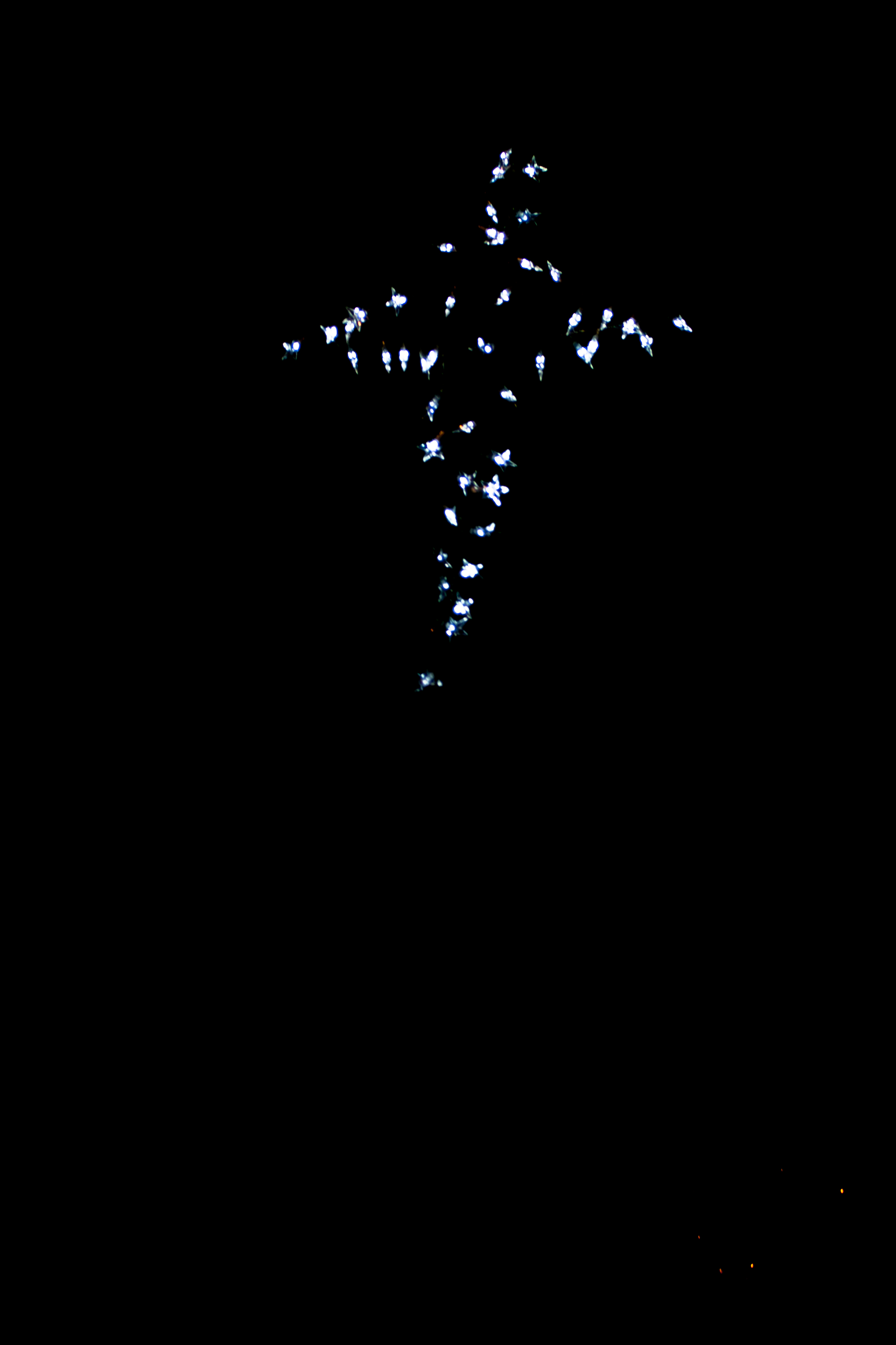 following the star