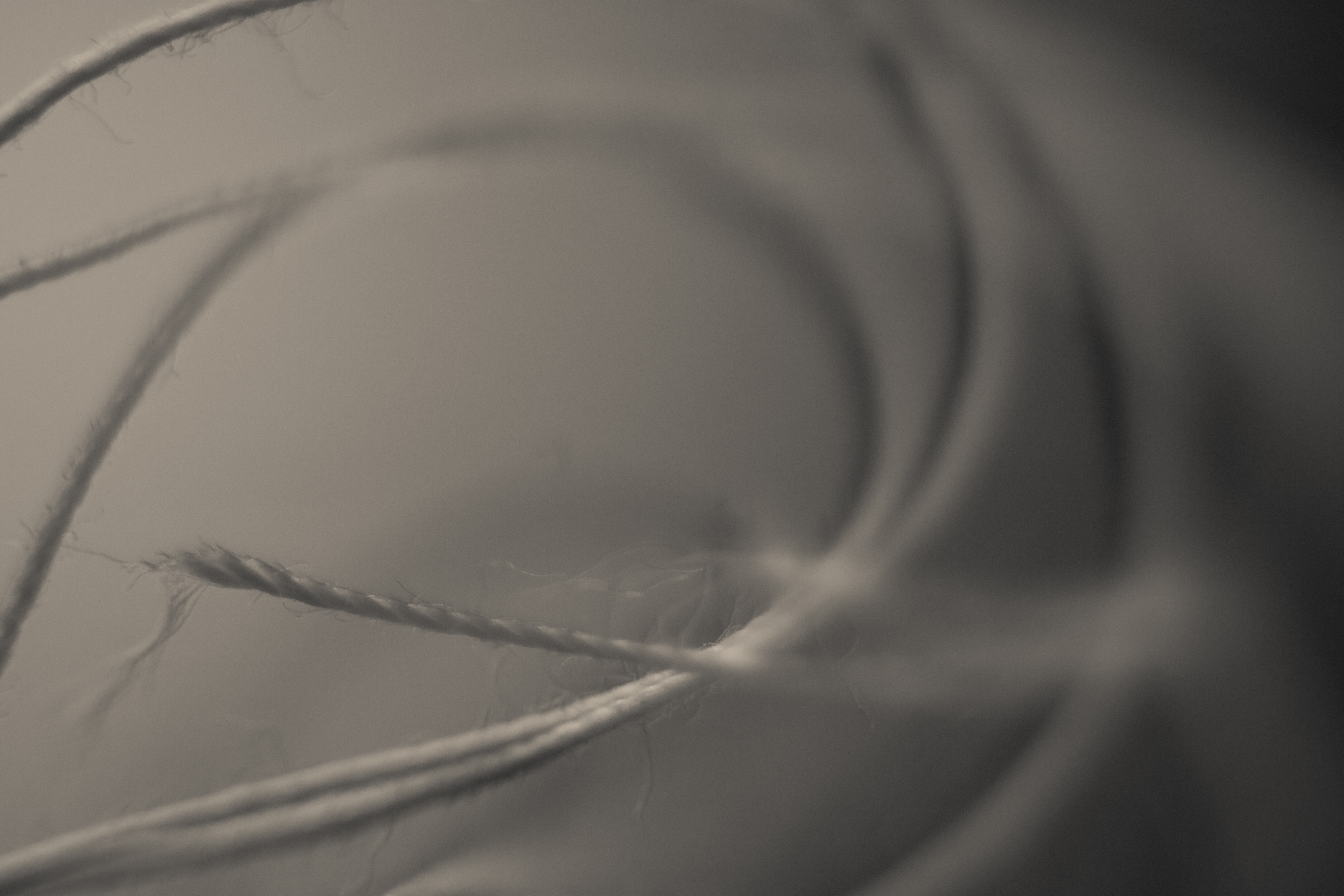 frayed