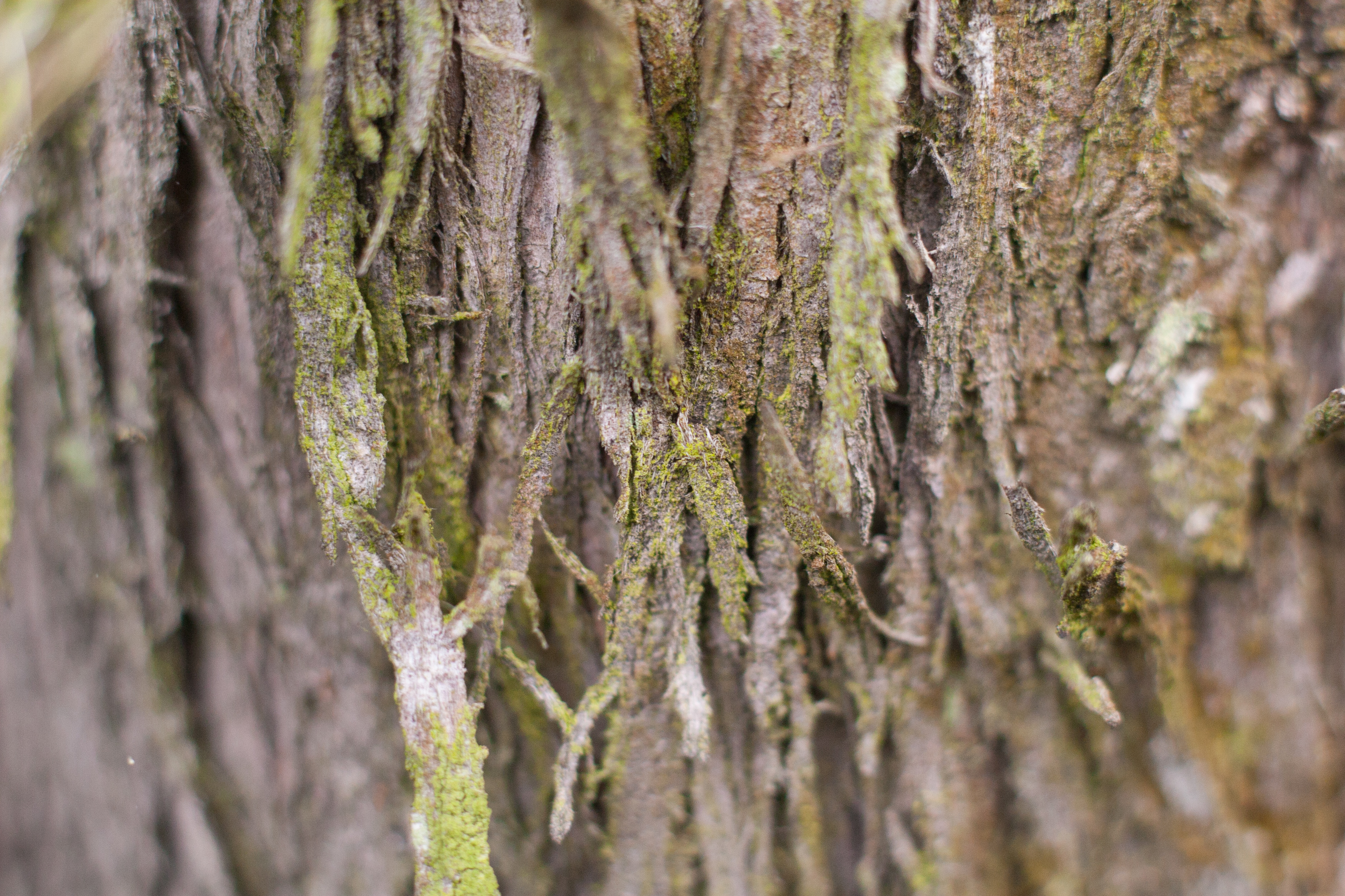 frayed around the edges