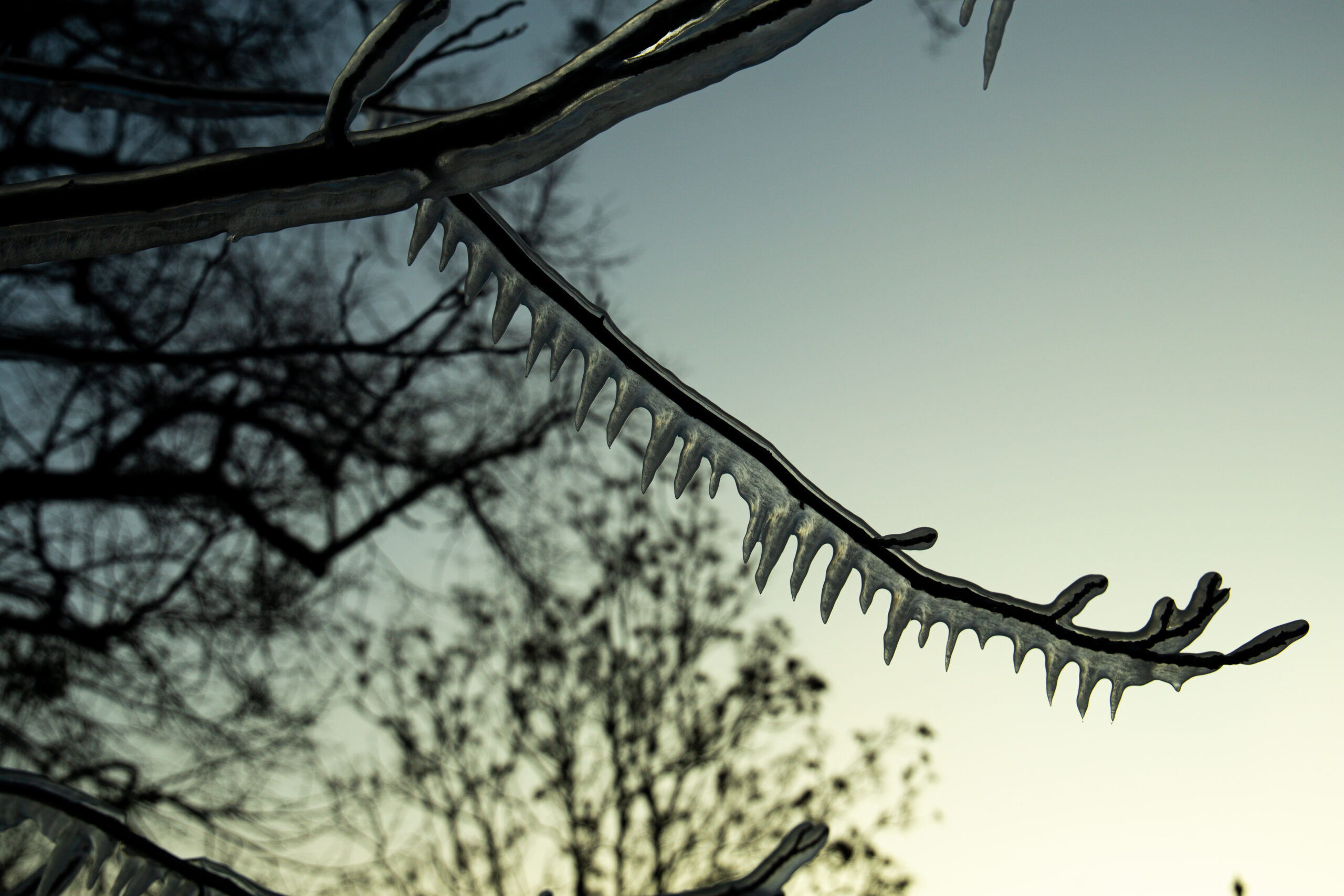 frozen