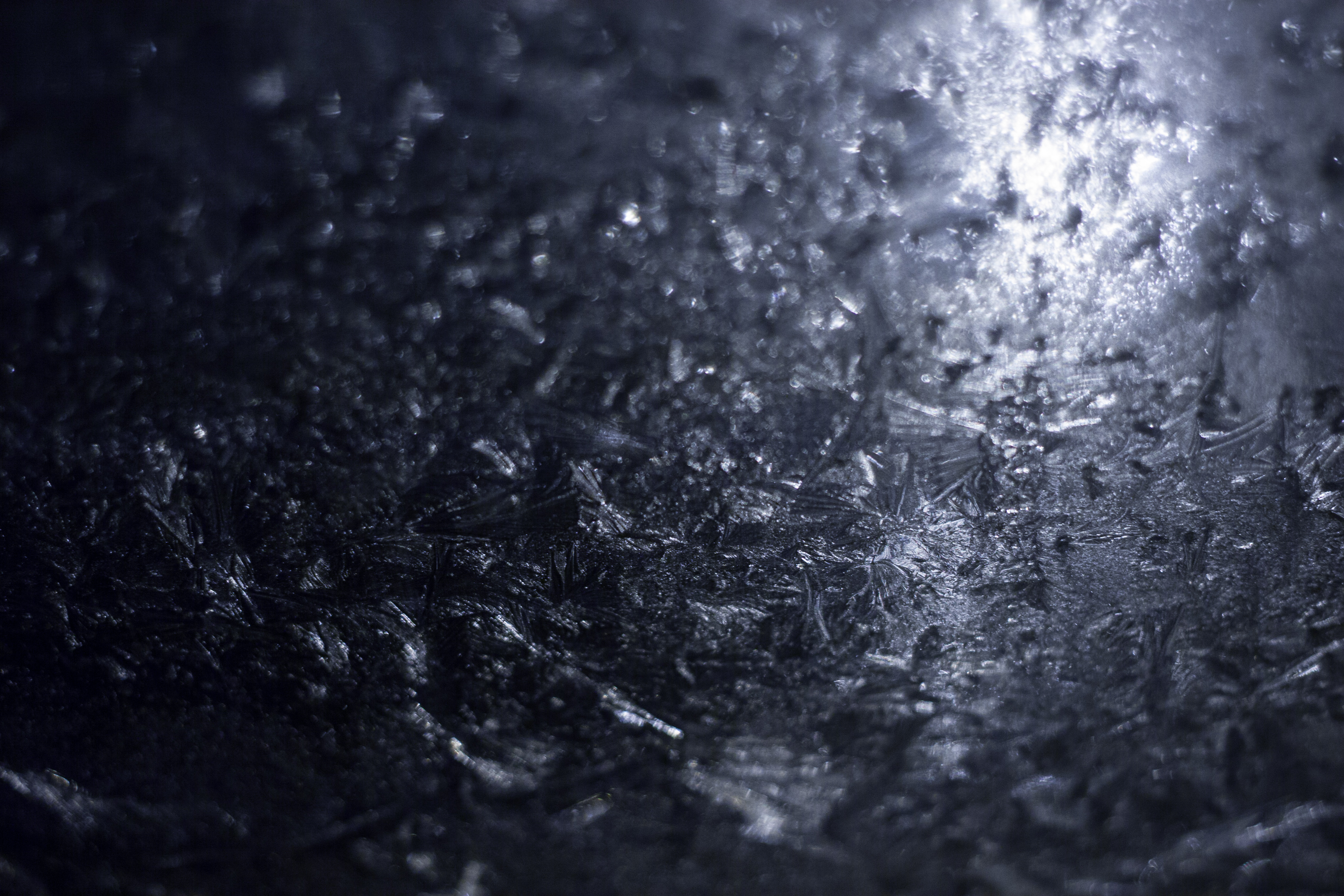 frozen in time