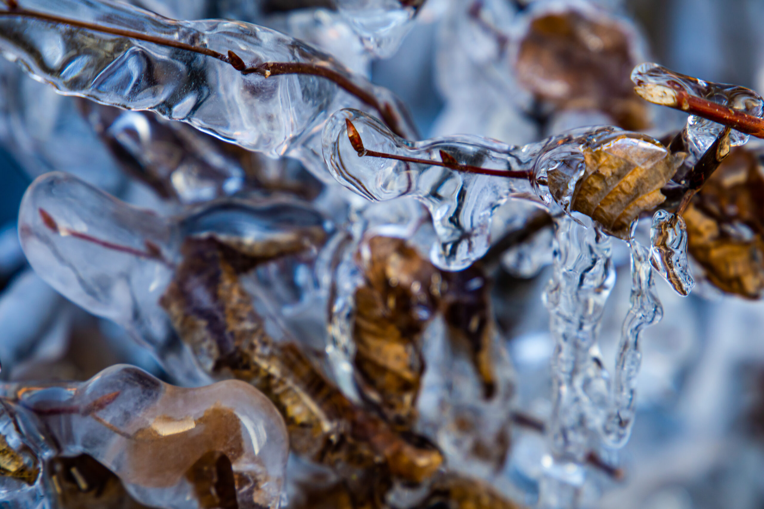 frozen solid