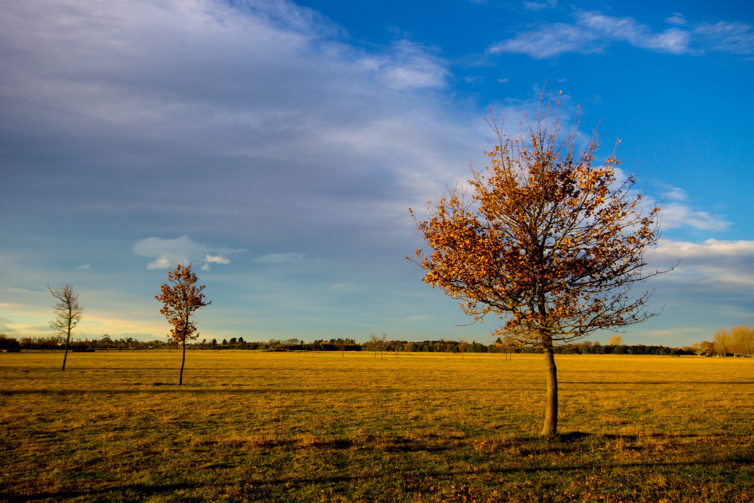 golden days of autumn