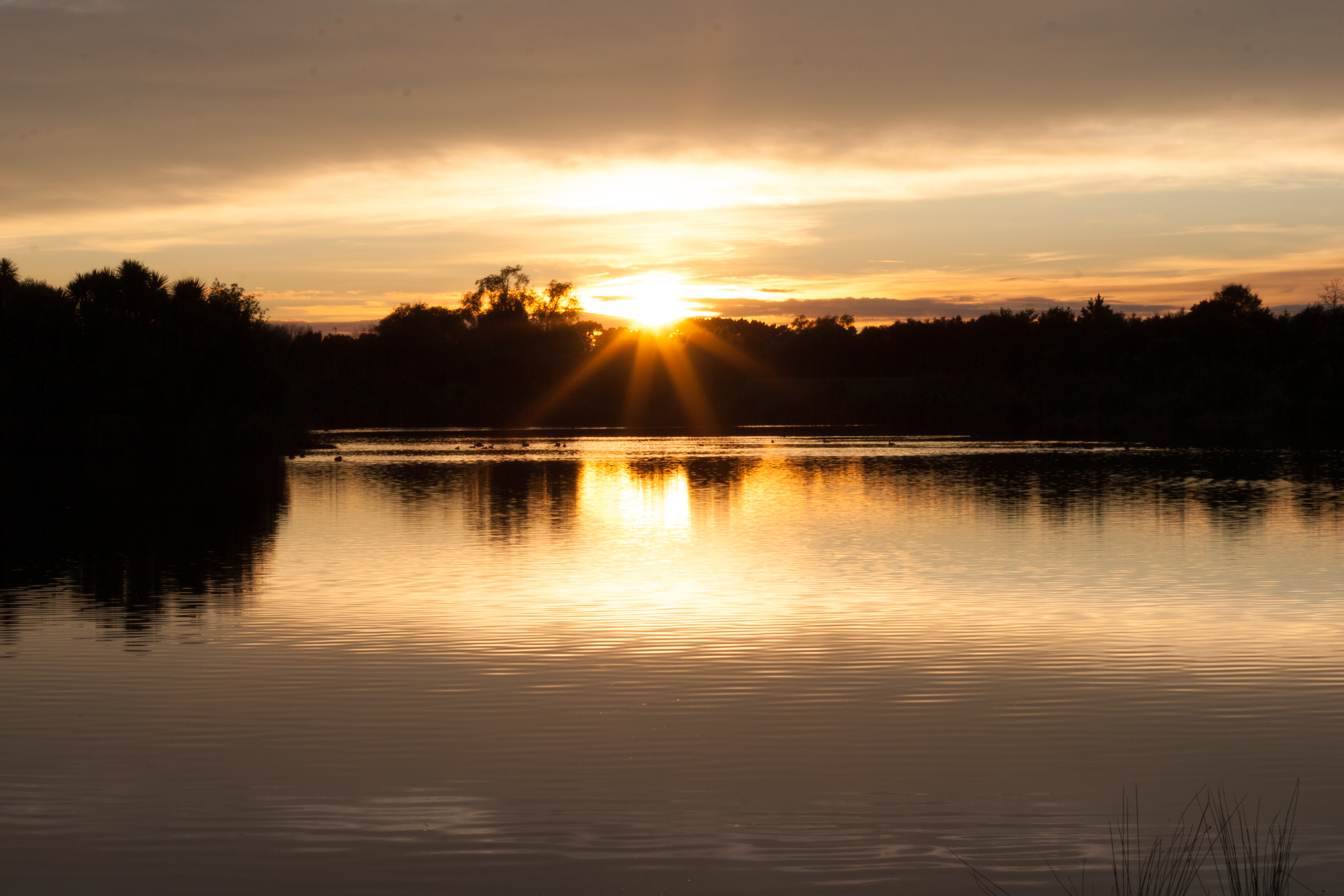 golden sun