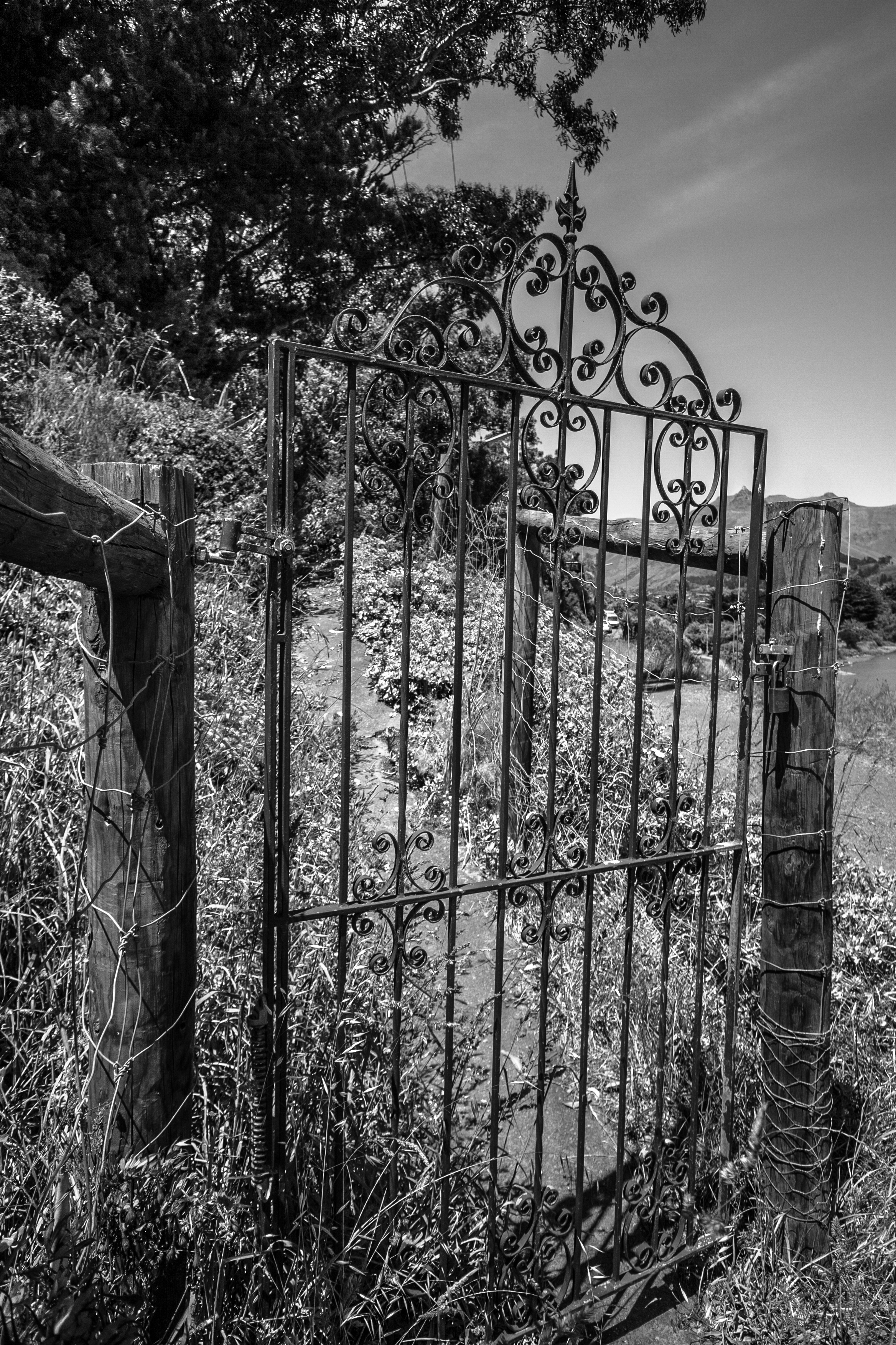 haunted