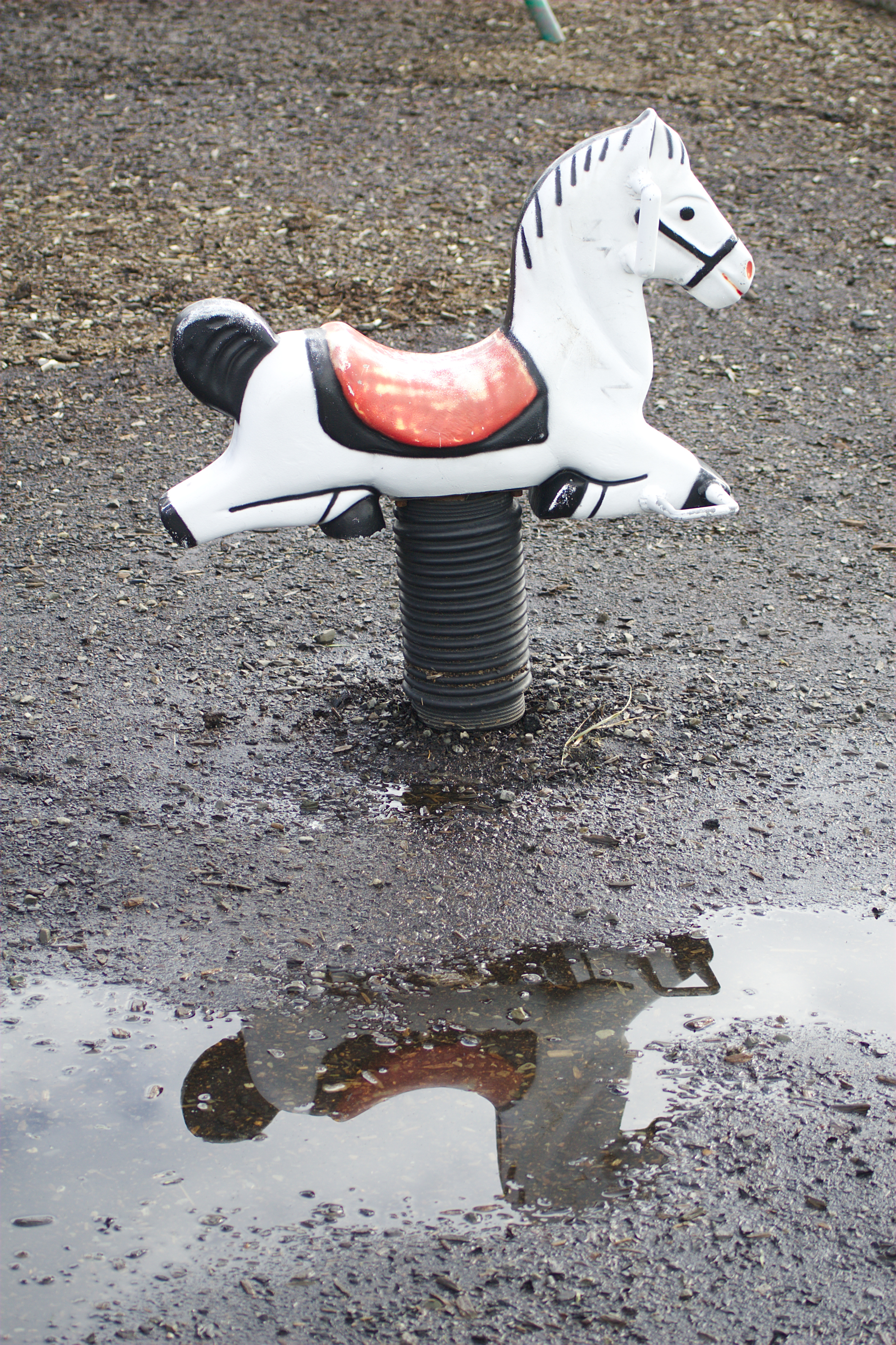 wet horse