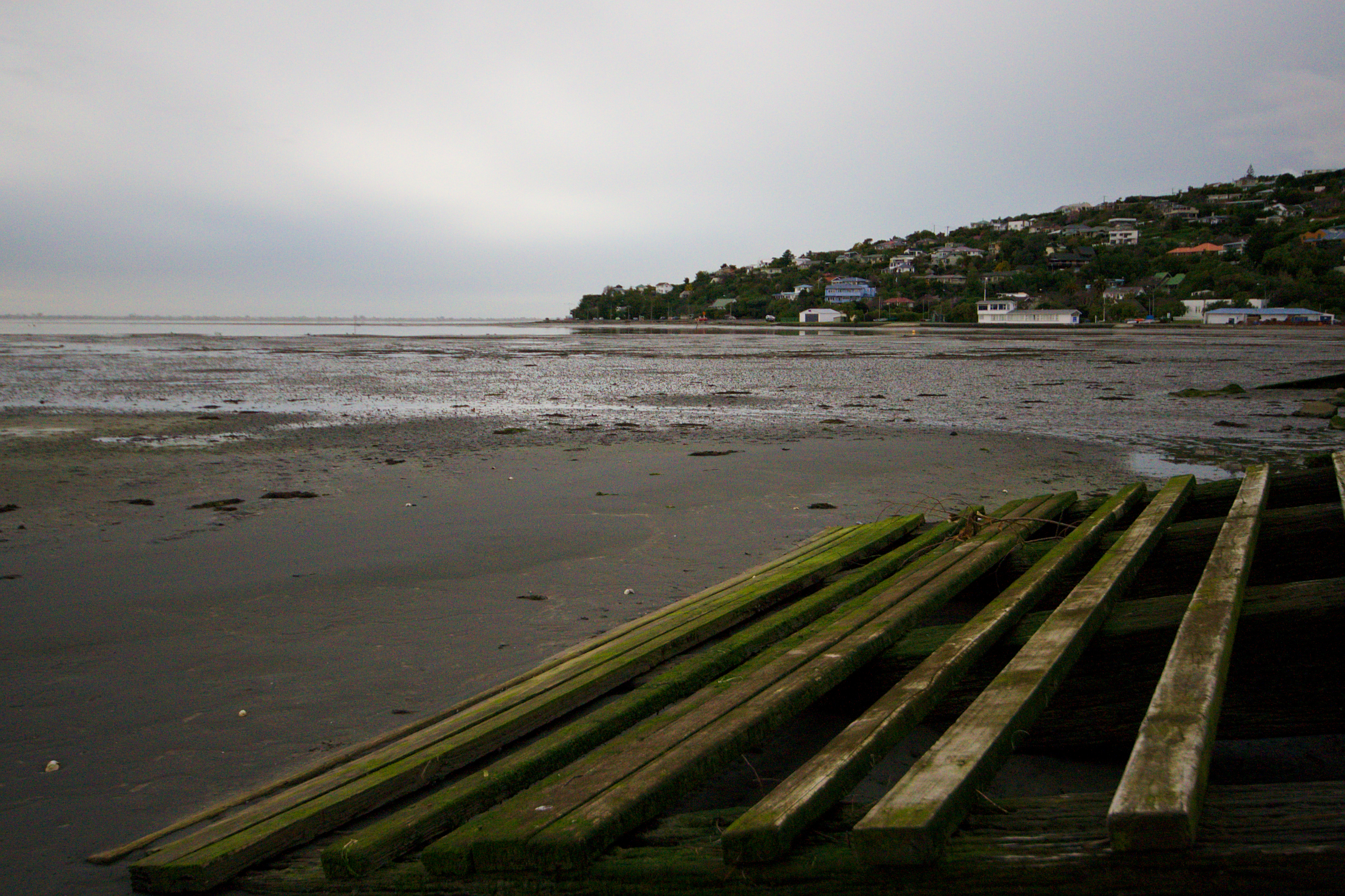 down by the sea