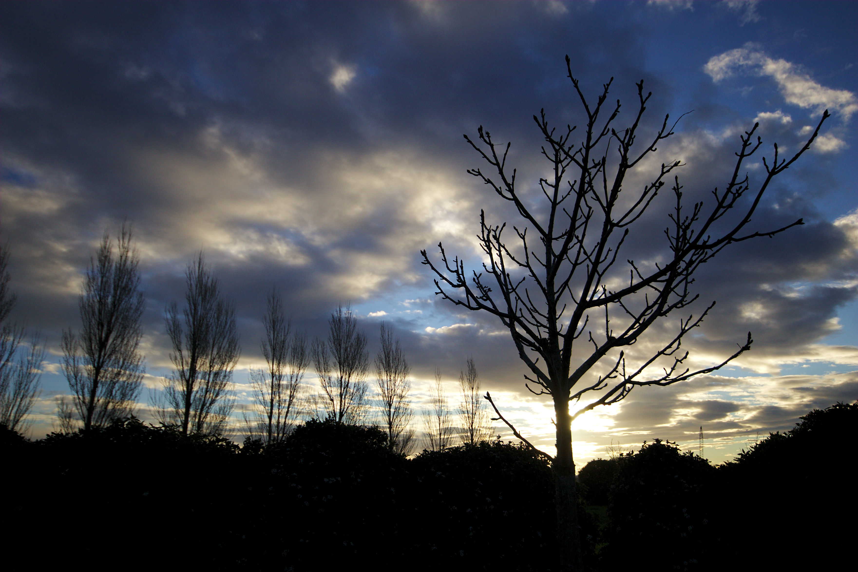 dying light