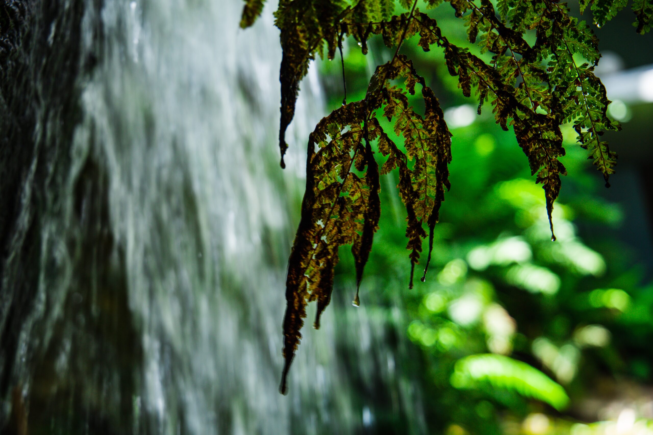 falls