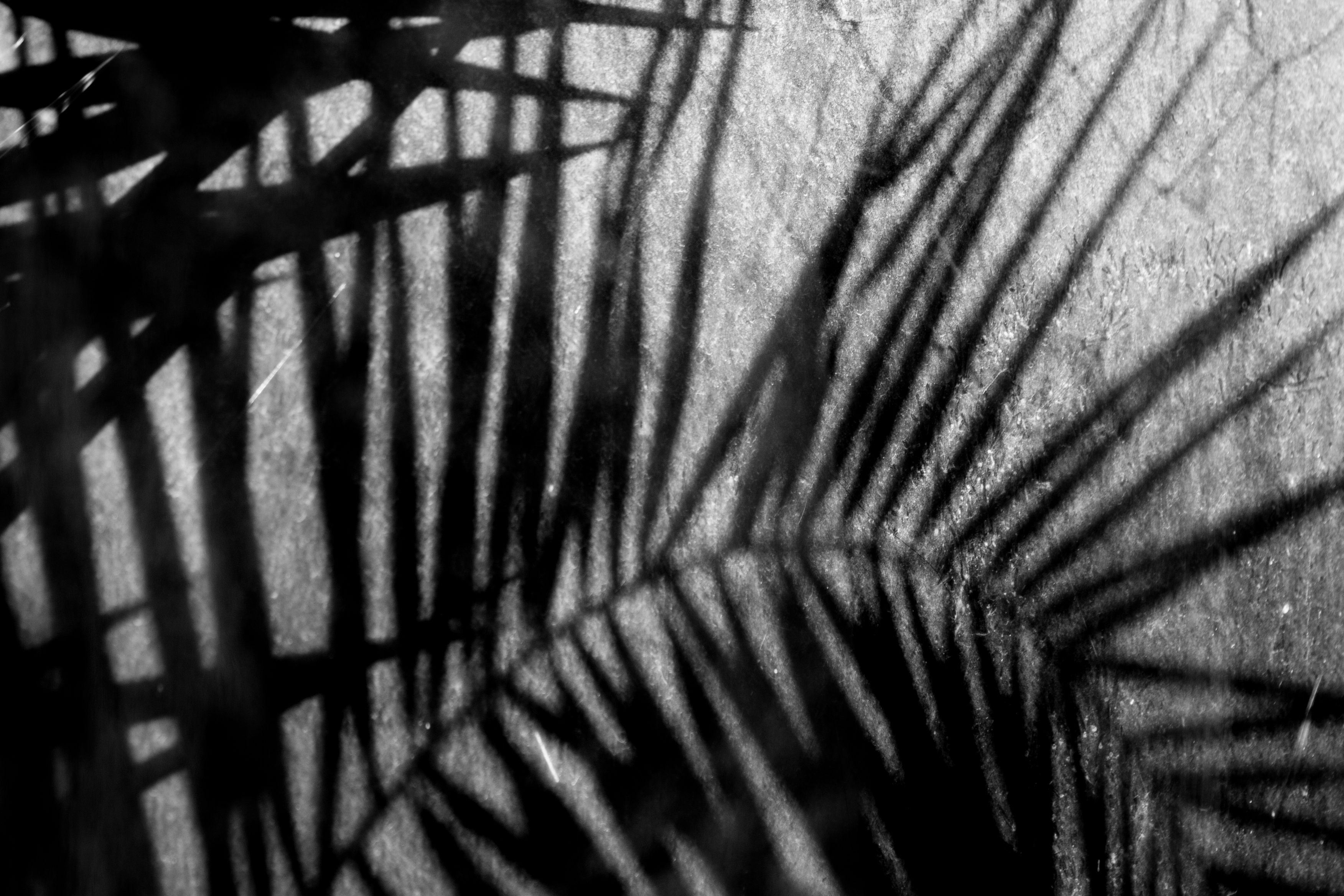 in the shade