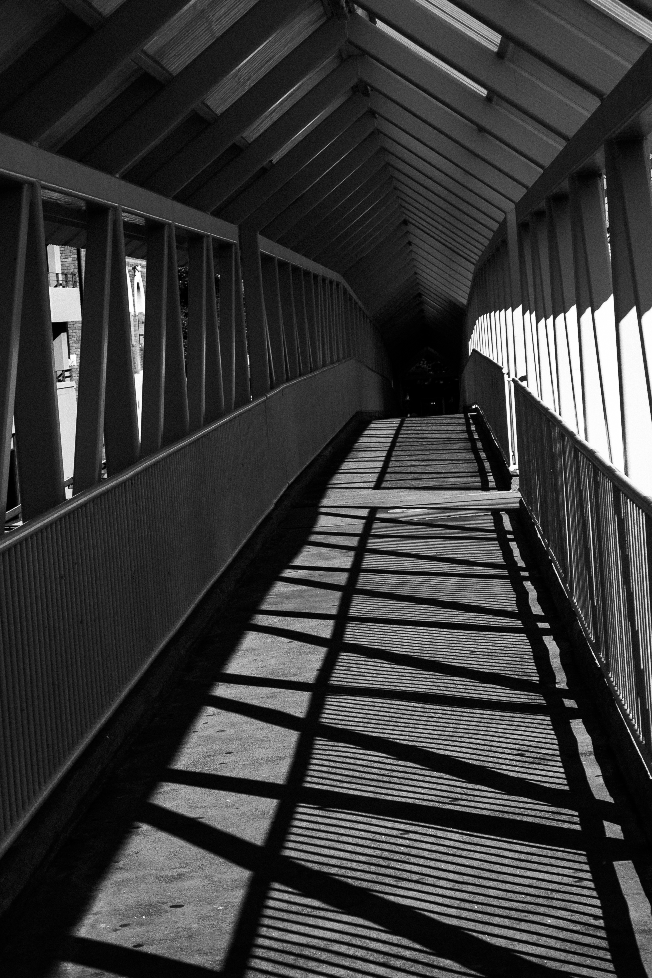 into the black