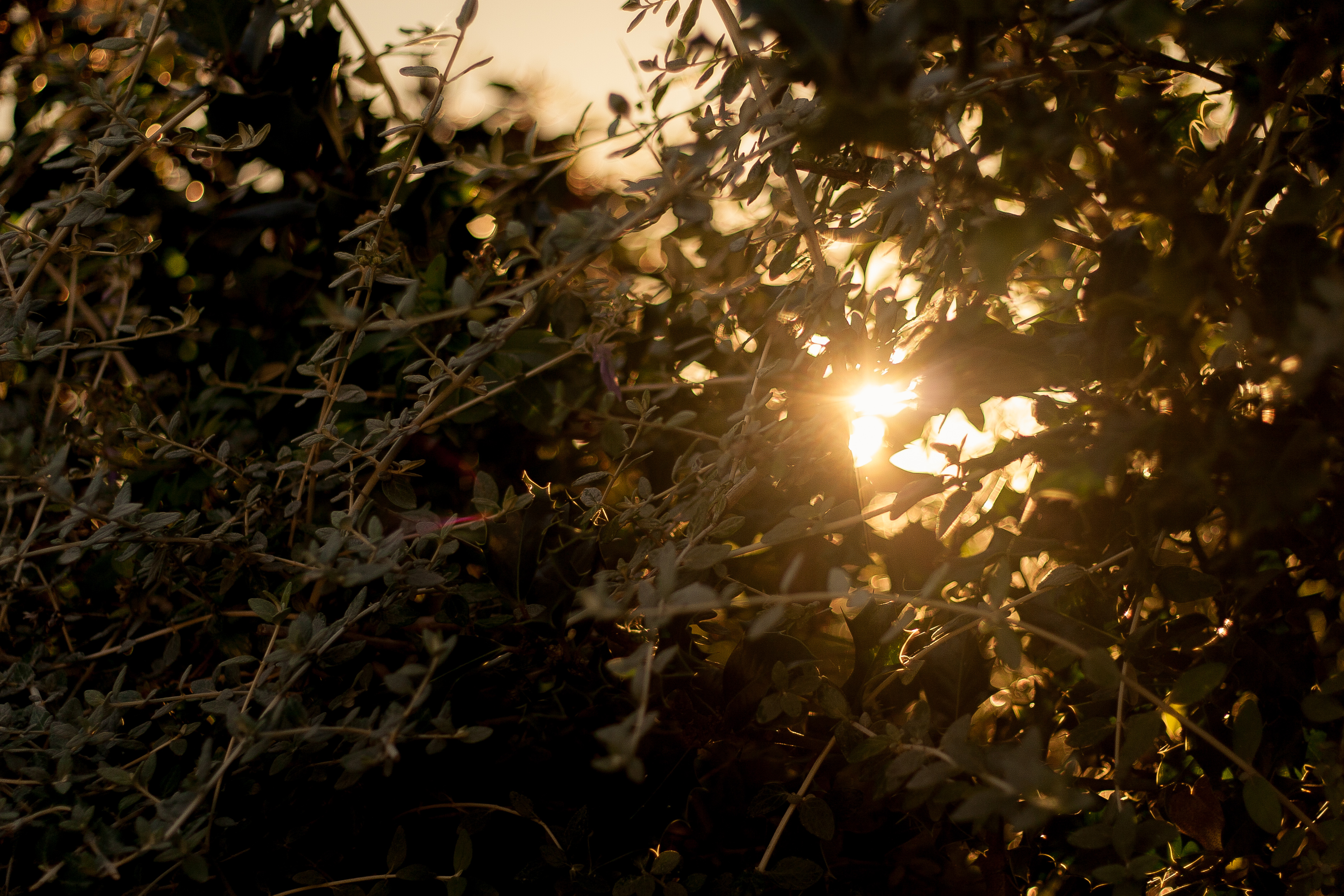 last light