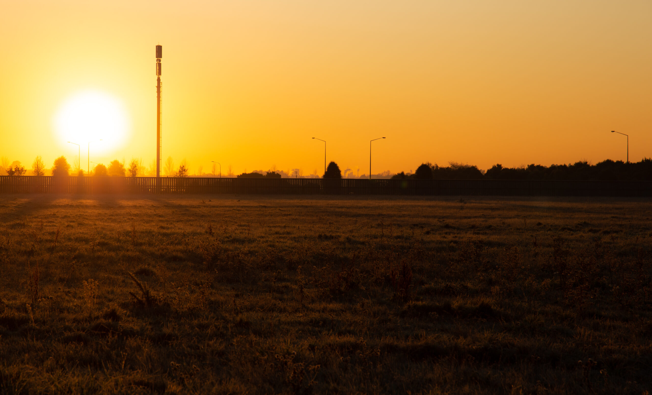 morning glow