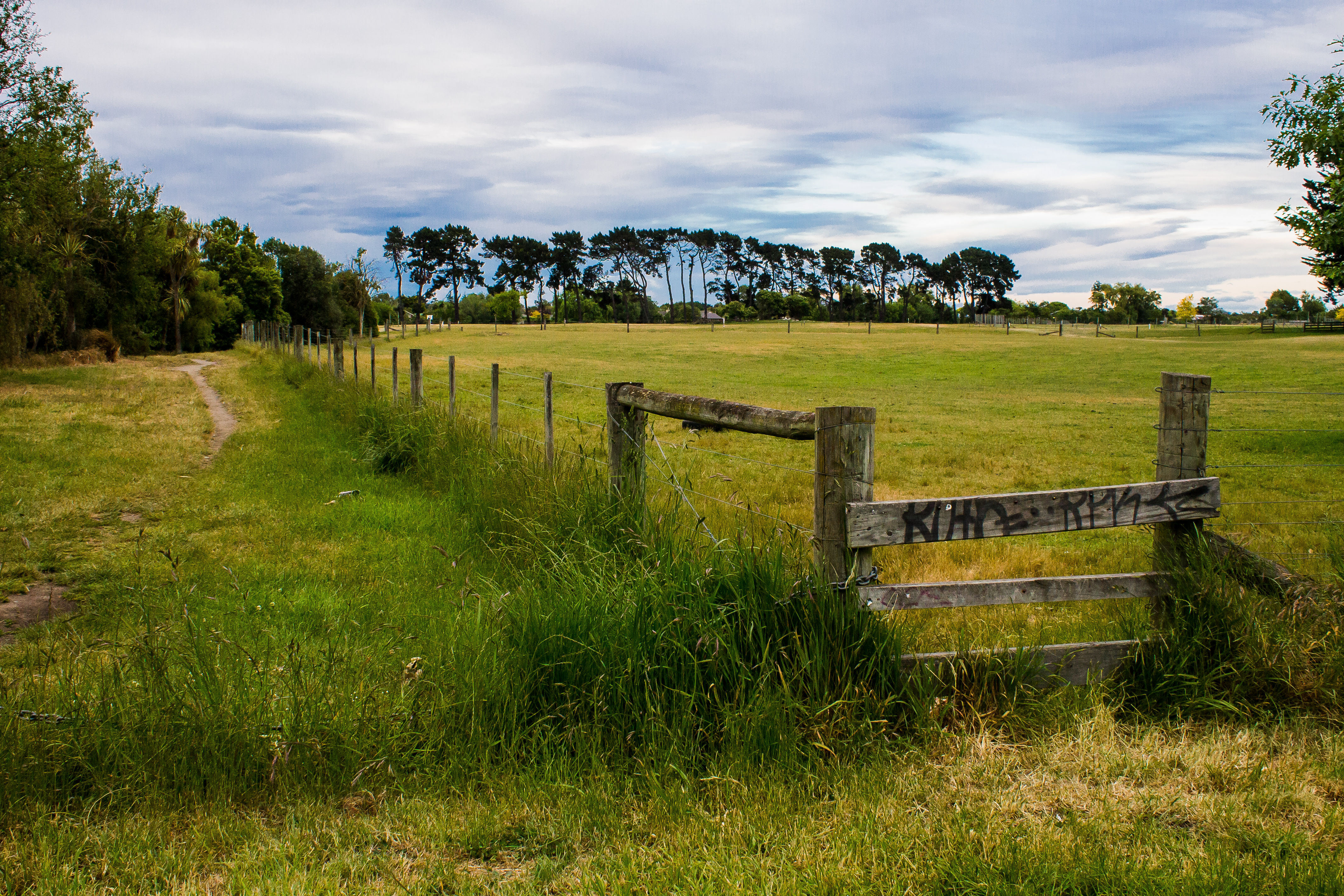 over the fence