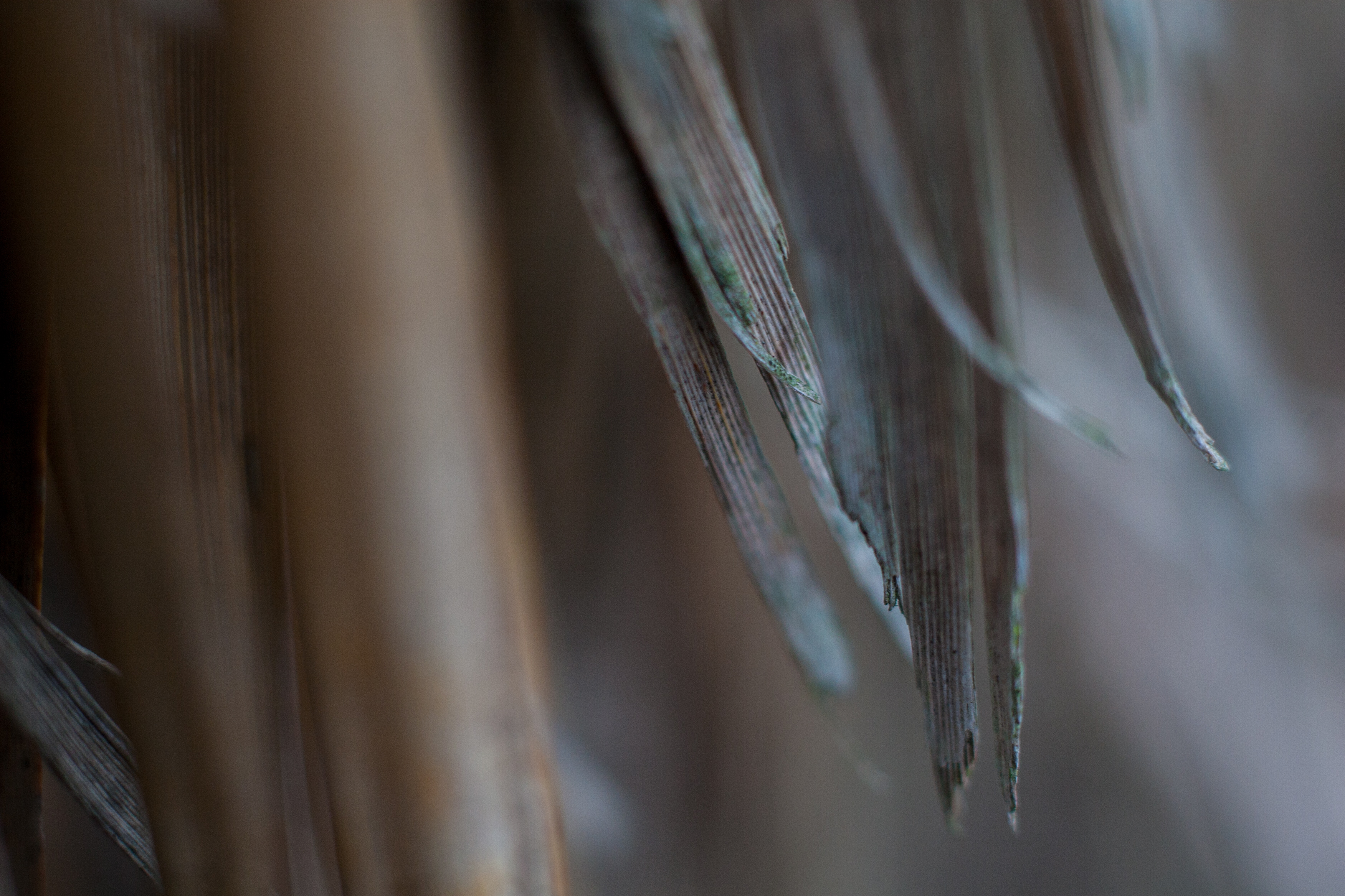peeling away