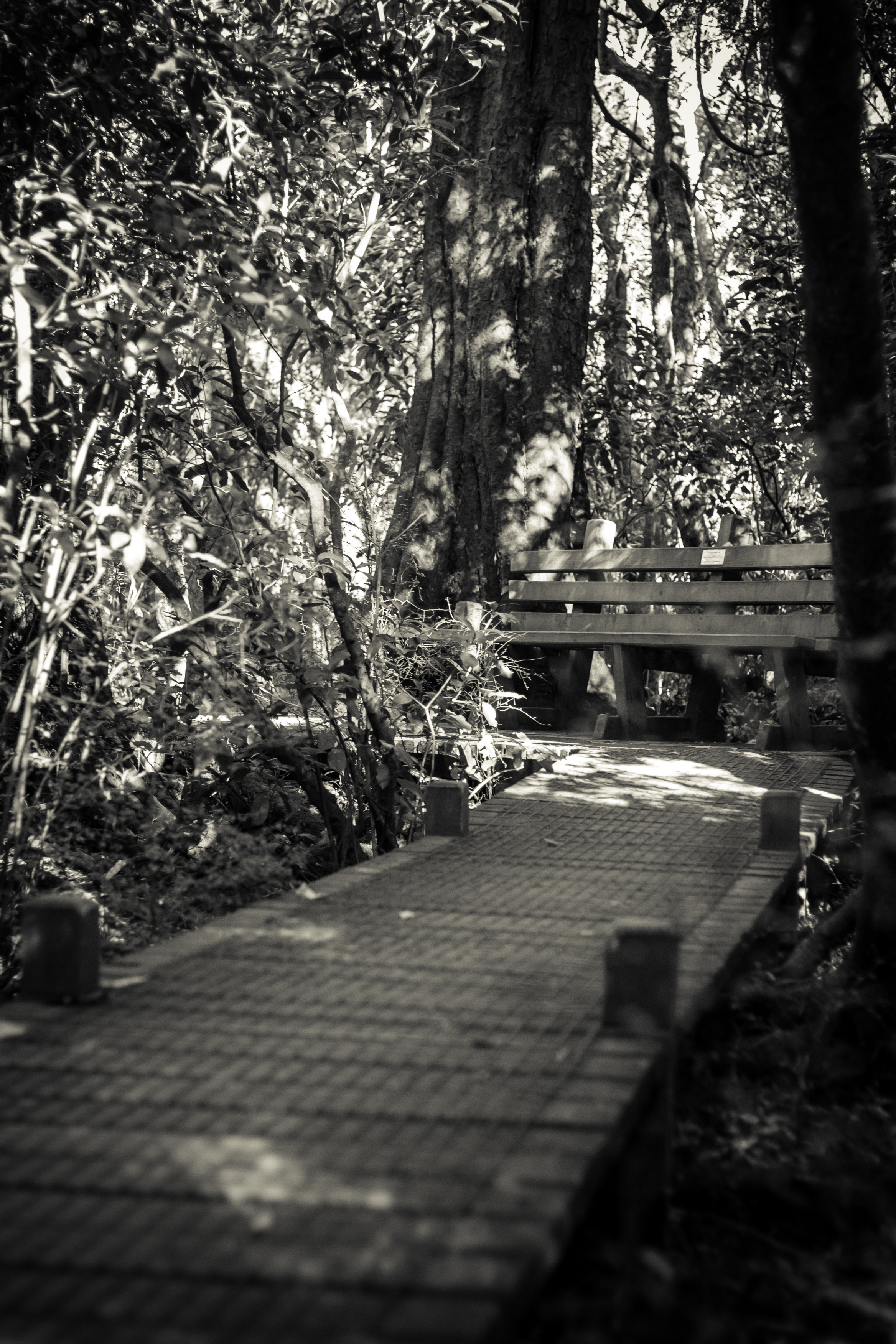 quiet spot
