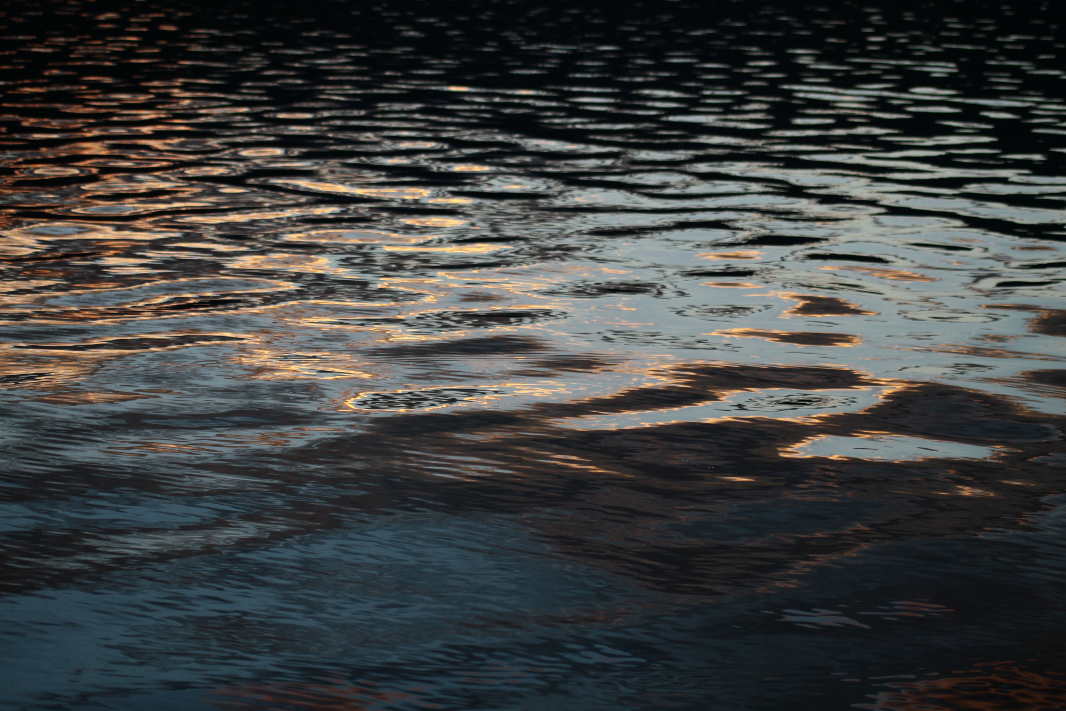 reflecting on the dawn